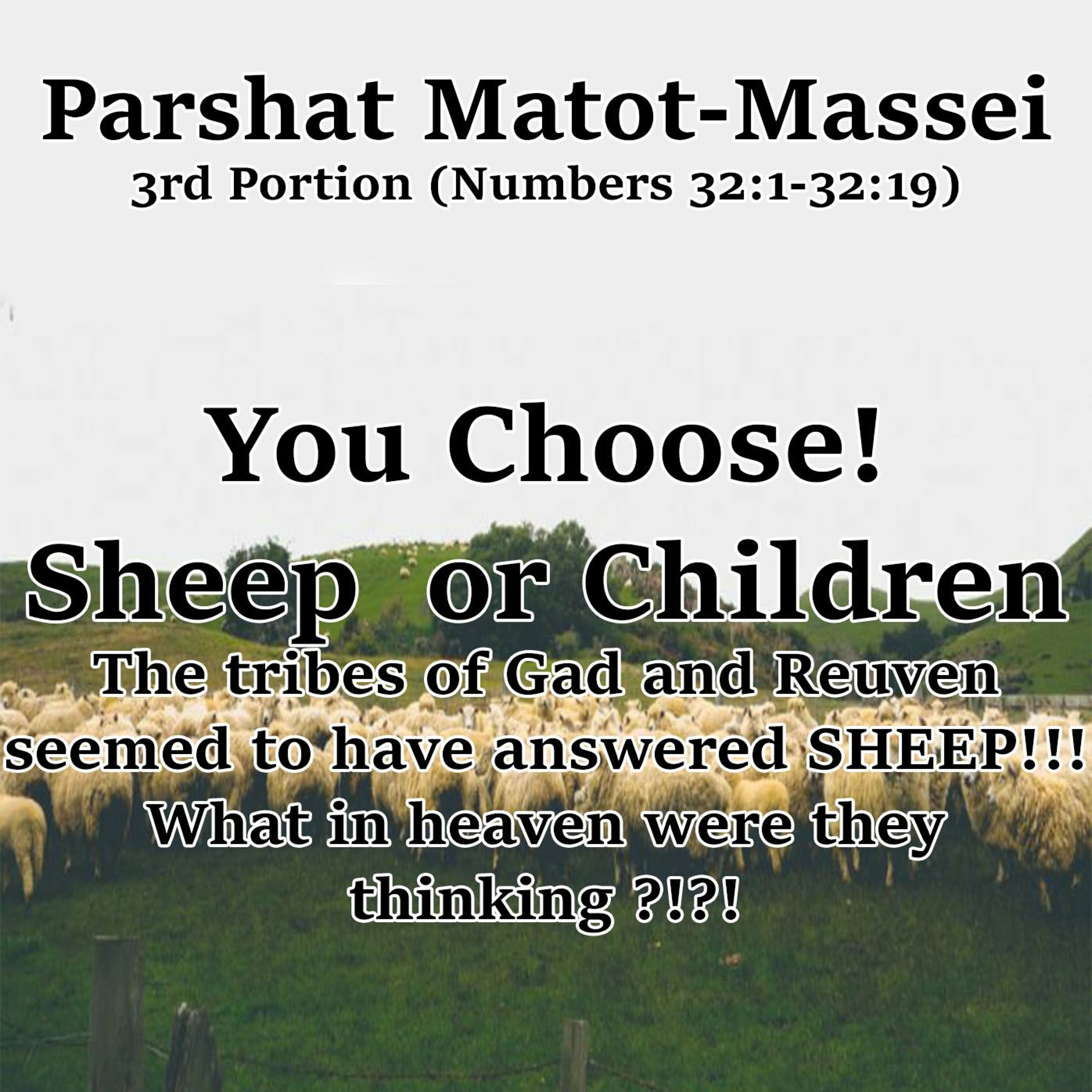 You Choose! Sheep or Children
