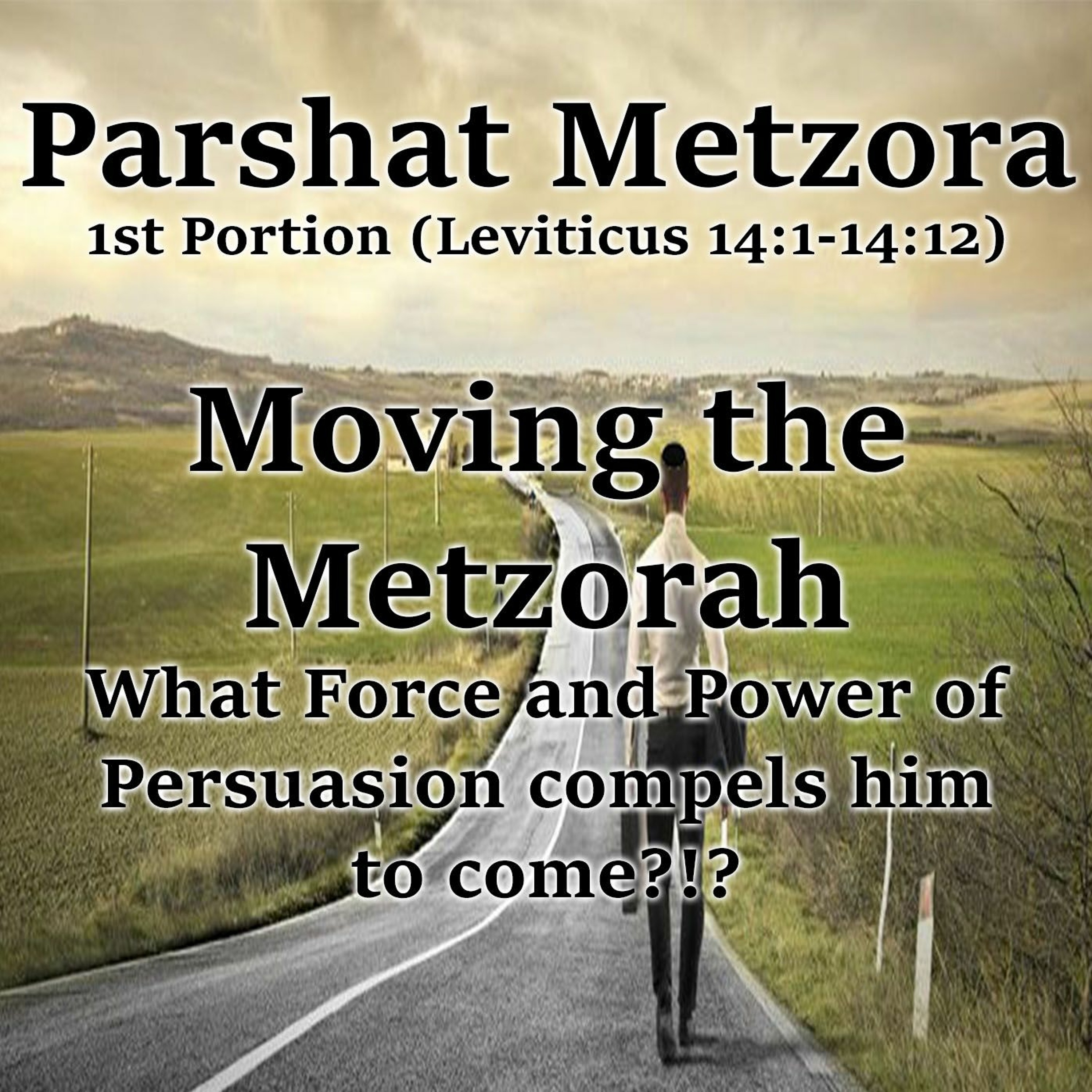 Moving the Metzorah