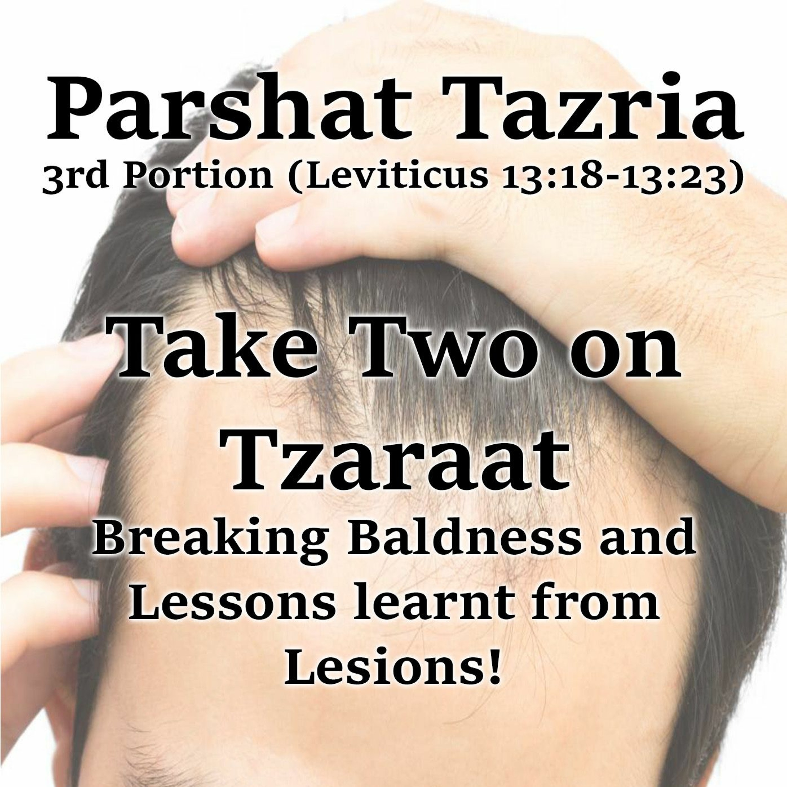 Take Two on Tzaraat