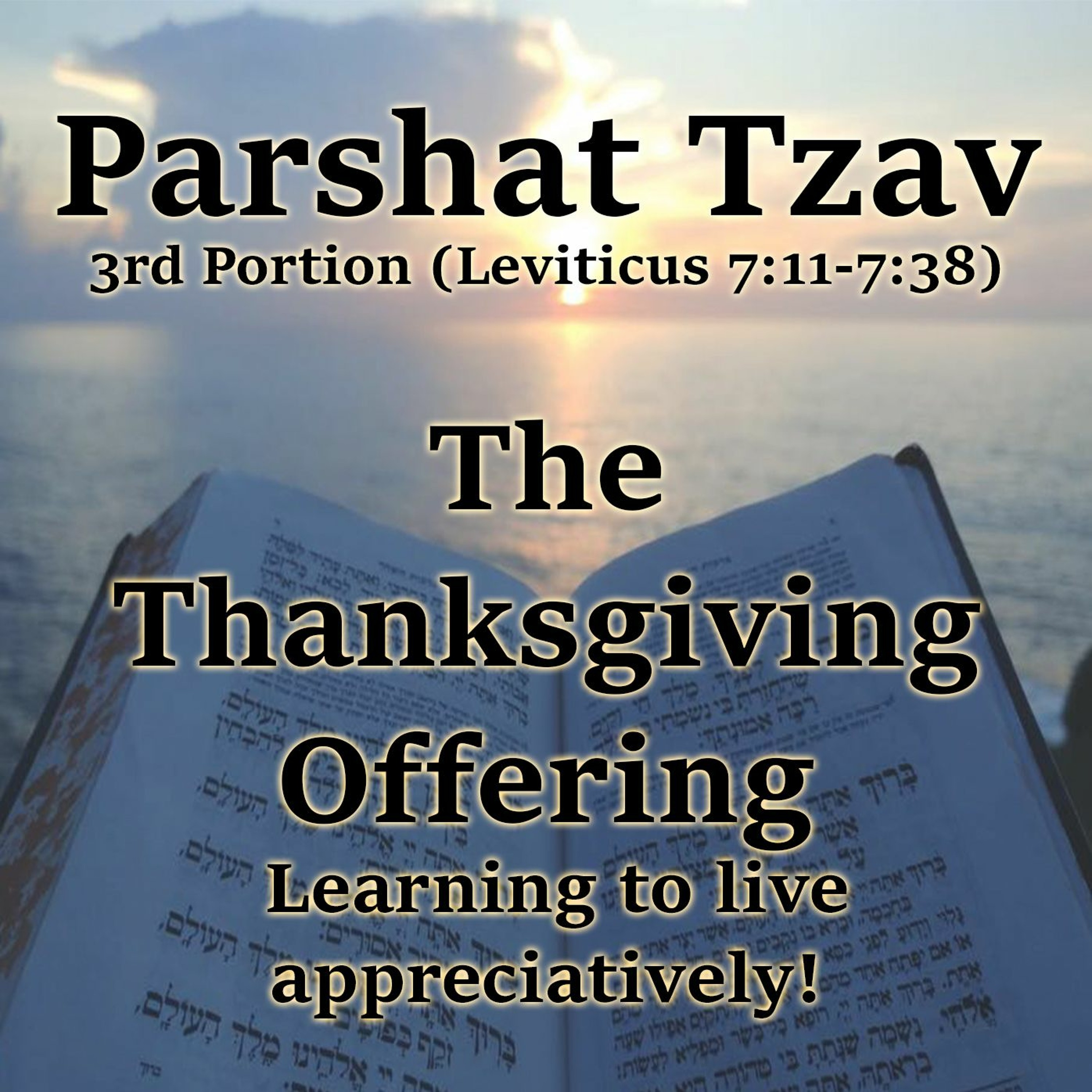 The Thanksgiving Offering