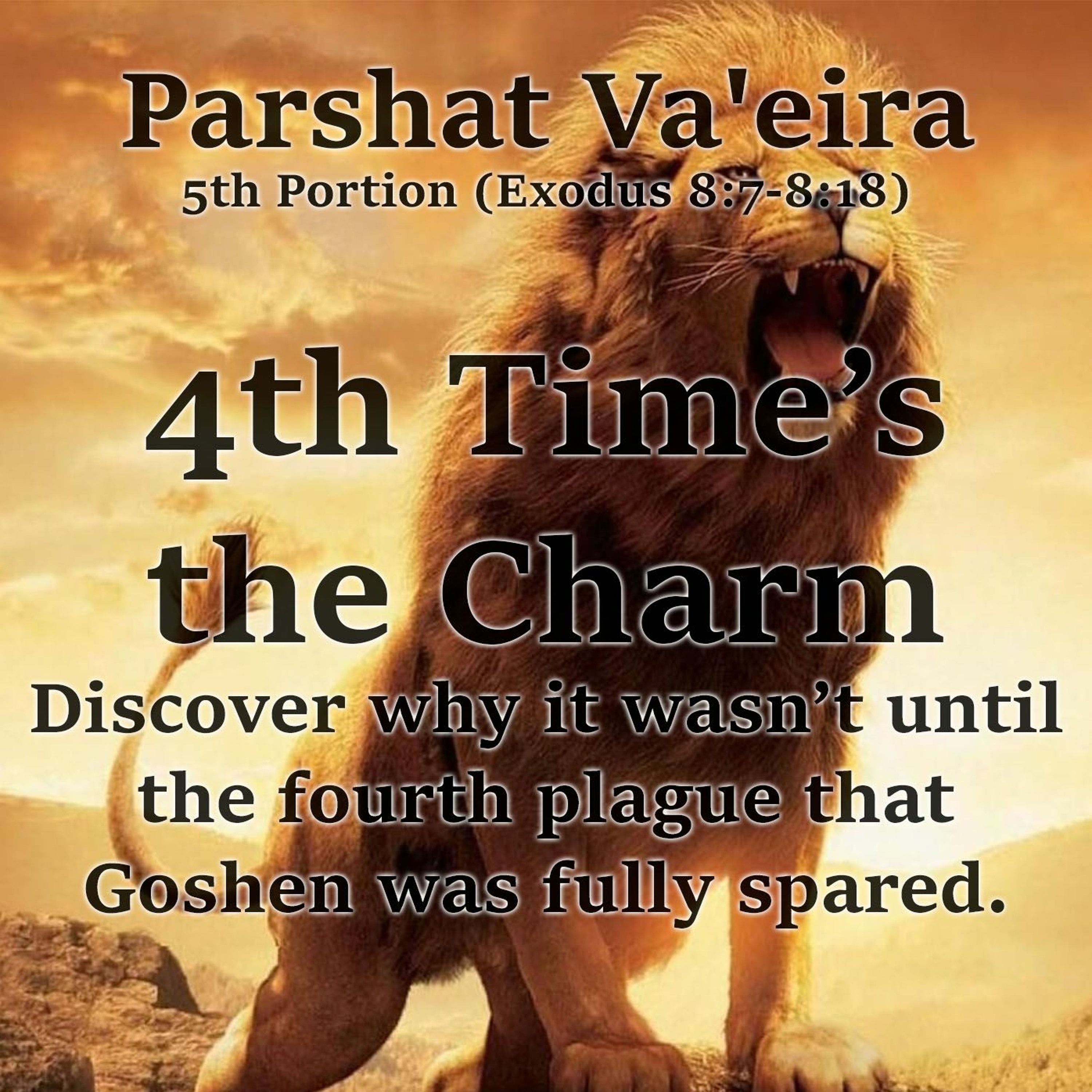 4th Time’s the Charm