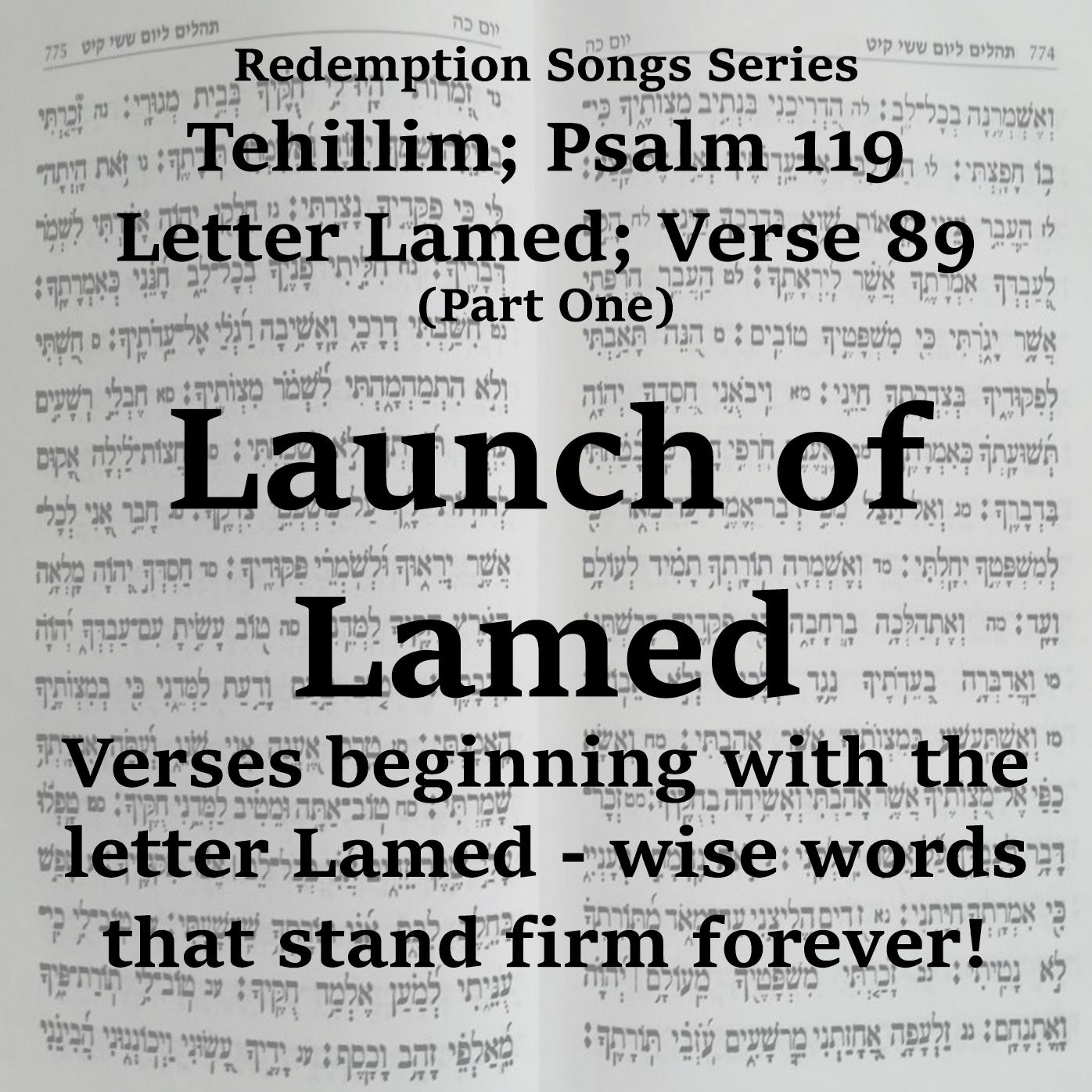 Launch of Lamed