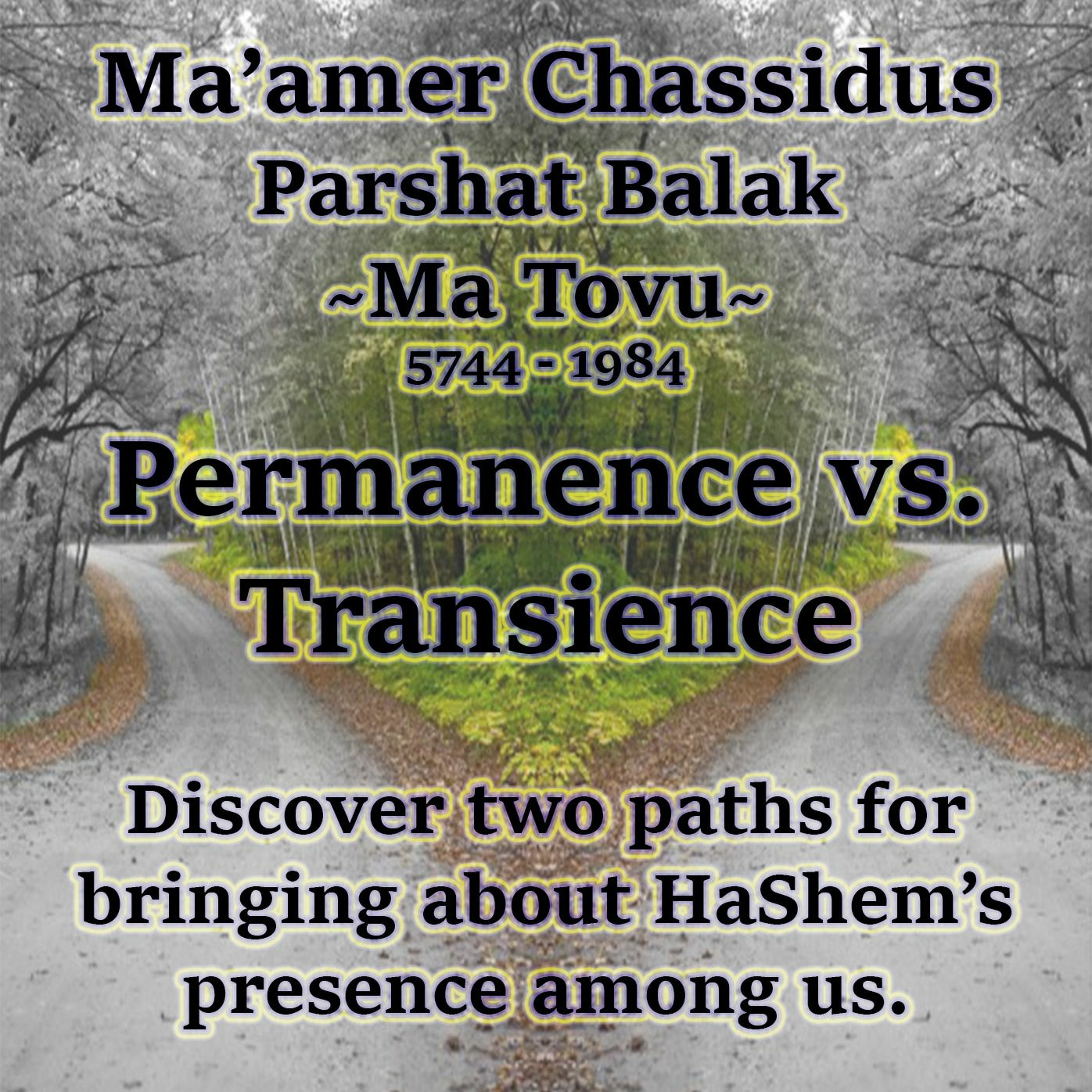 Permanence vs. Transience