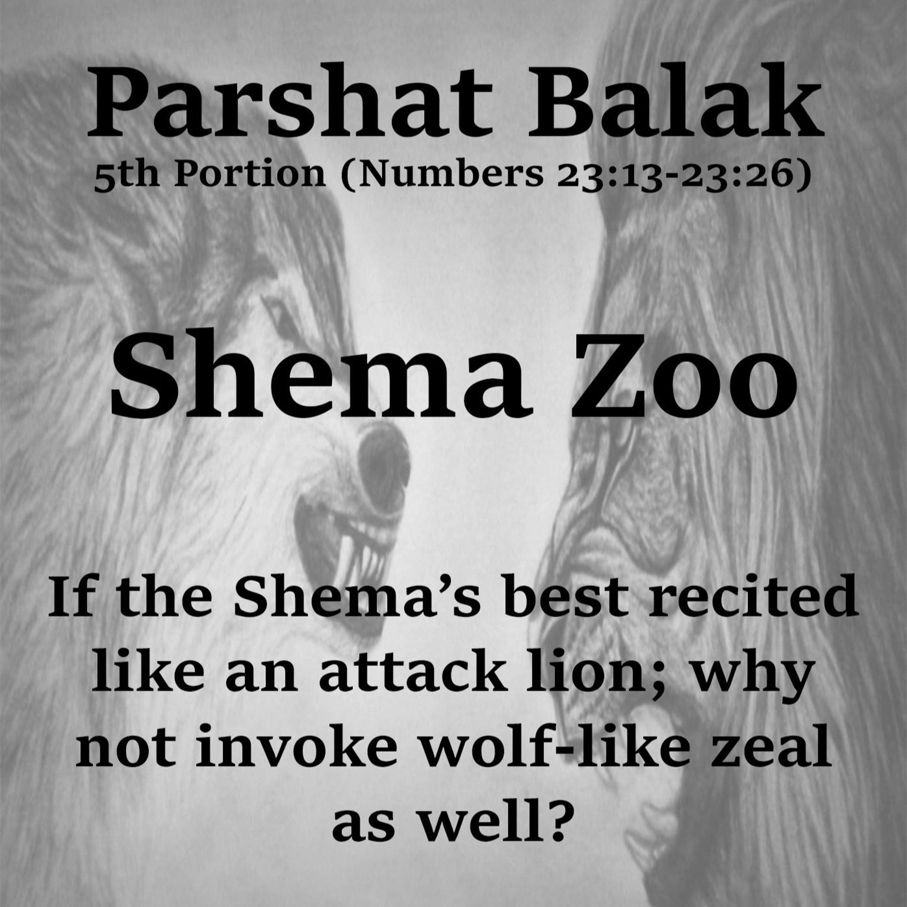 Shema Zoo