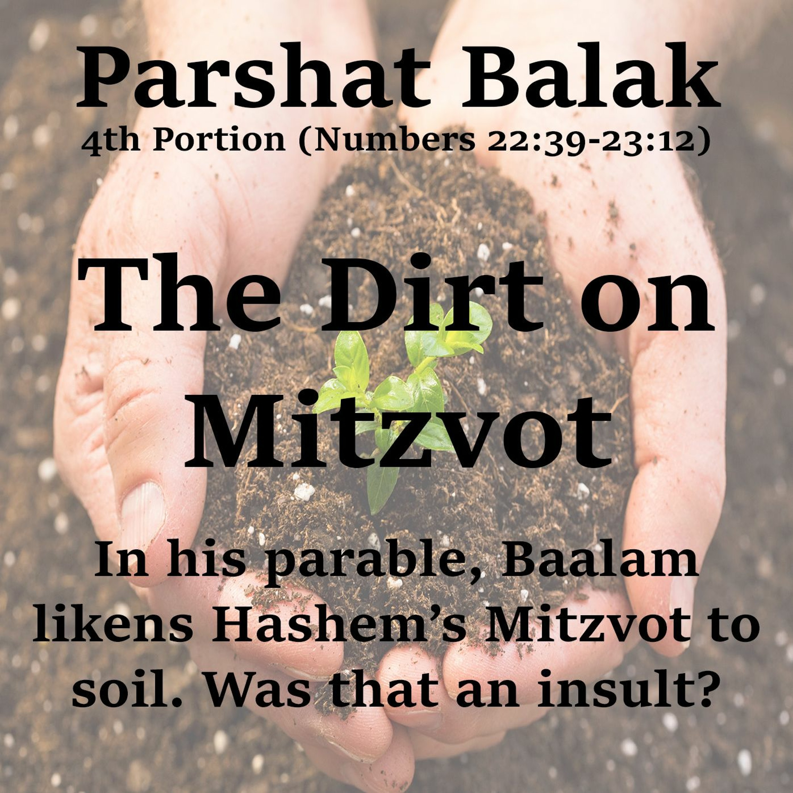 Episode Cover