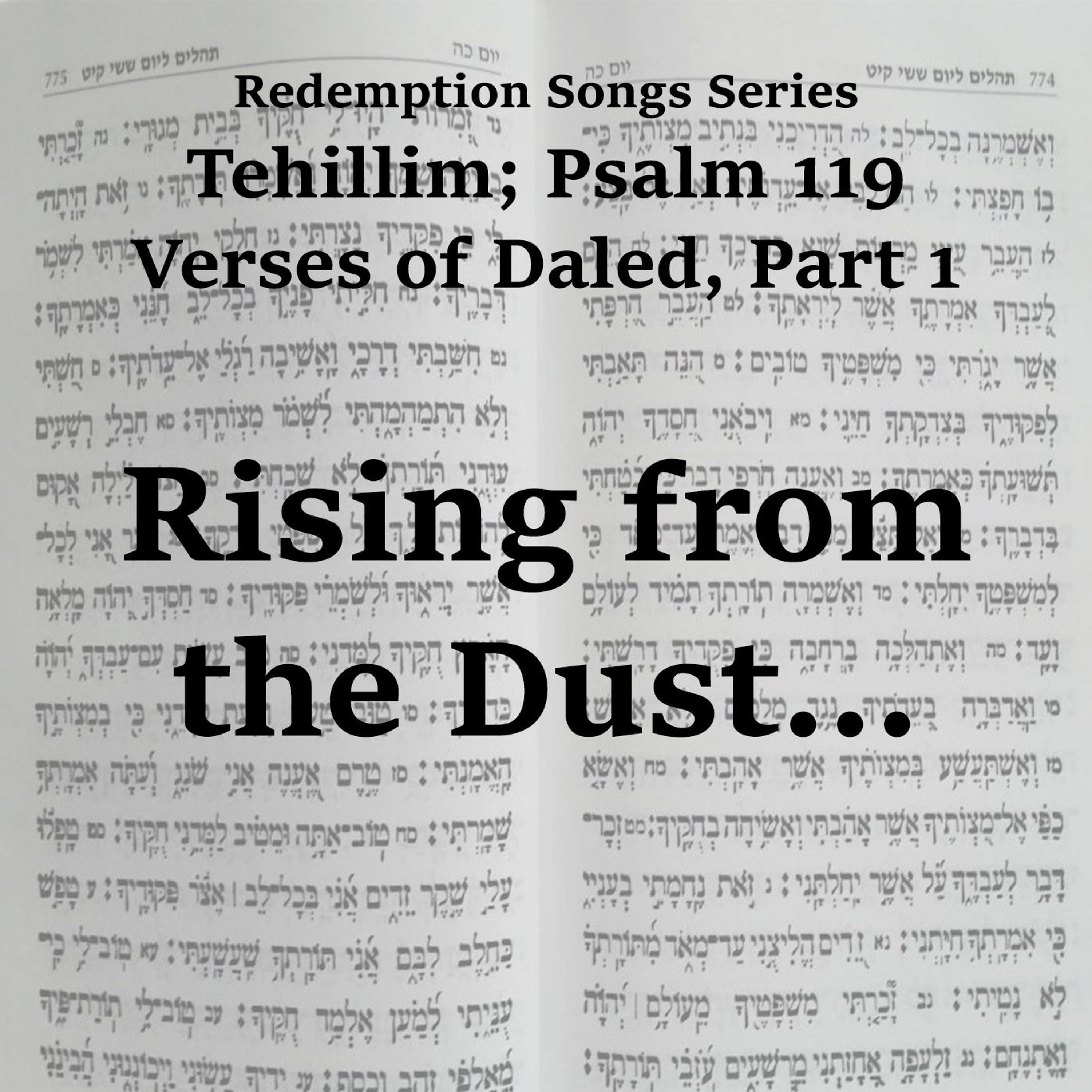 Rising from the Dust...