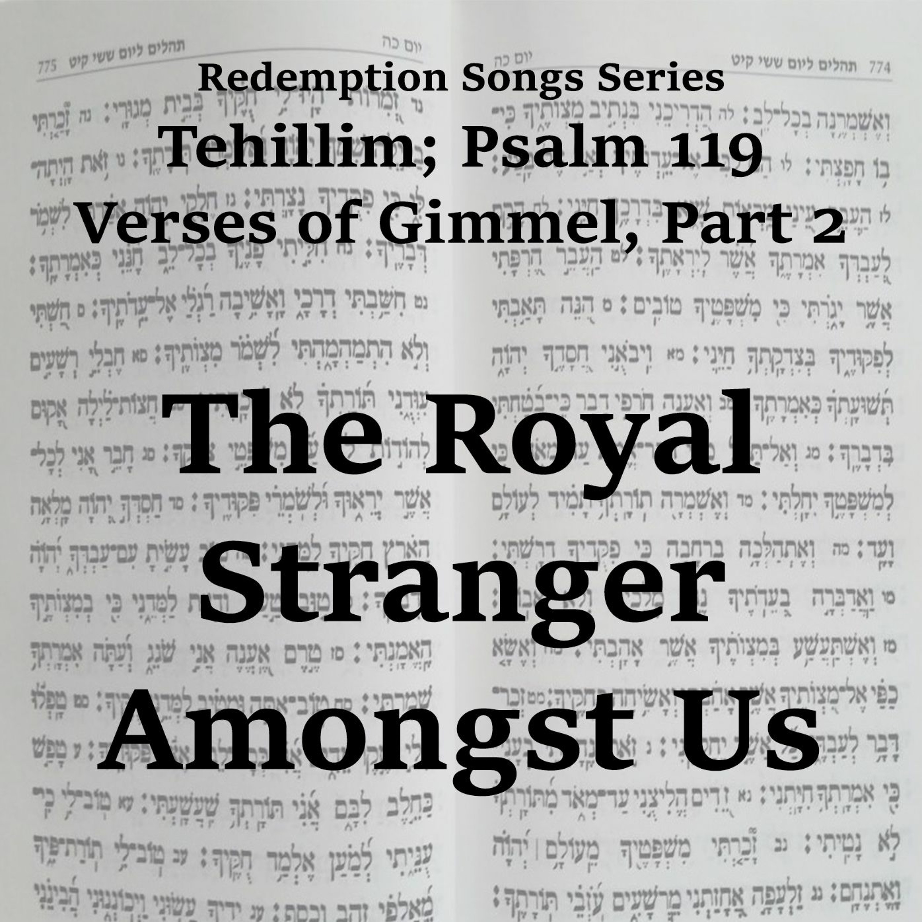 The Royal Stranger Amongst Us