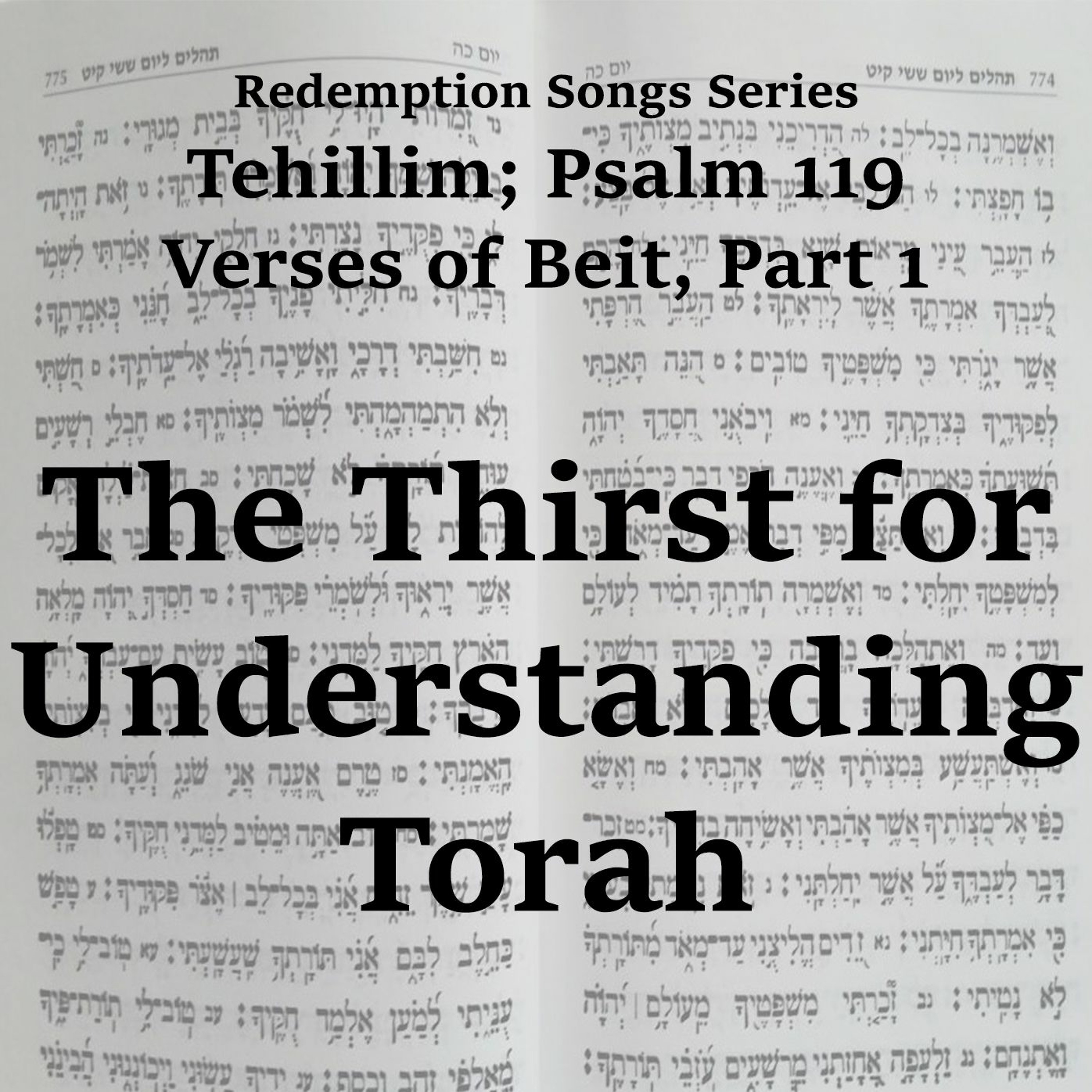 The Thirst for Understanding Torah
