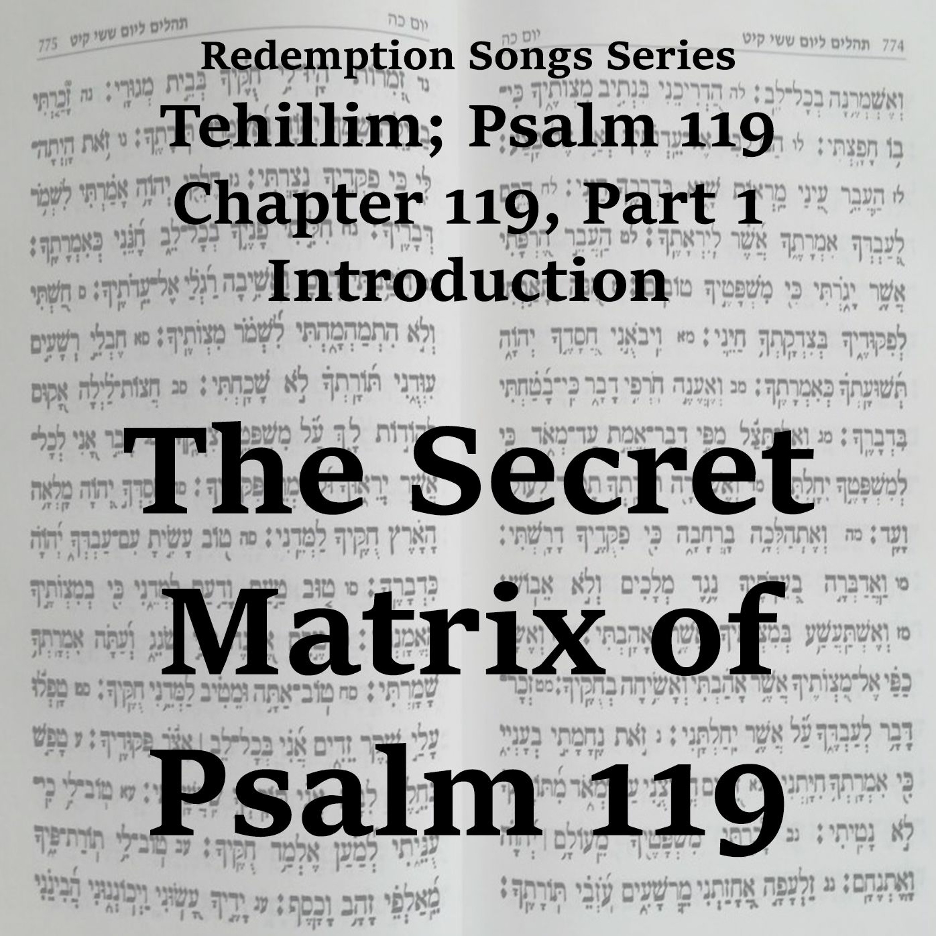 The Secret Matrix of Psalm 119