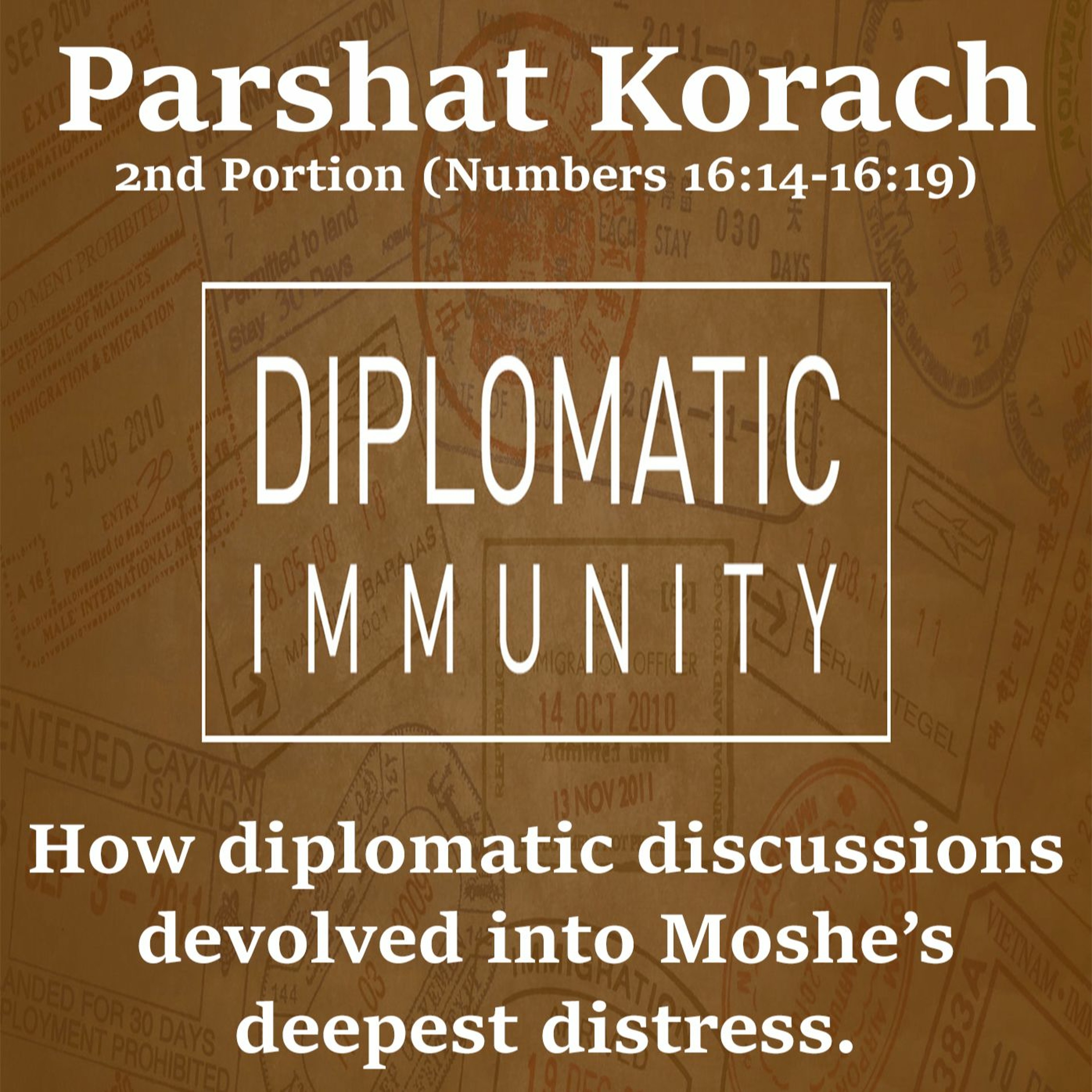 Diplomatic Immunity