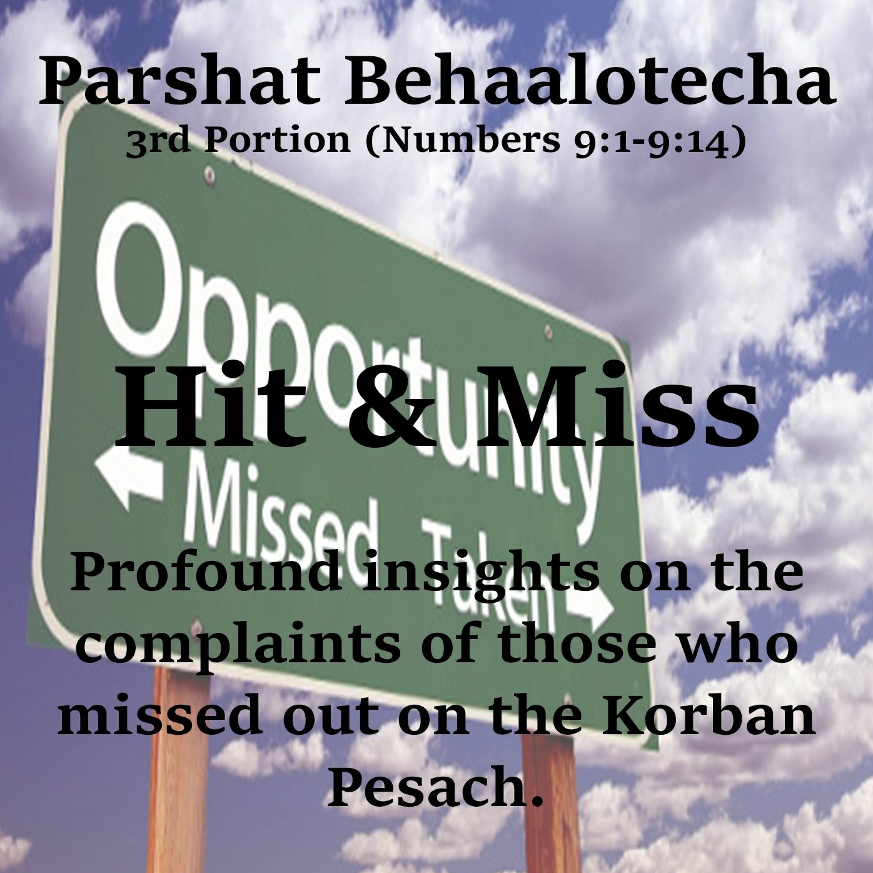 Hit & Miss