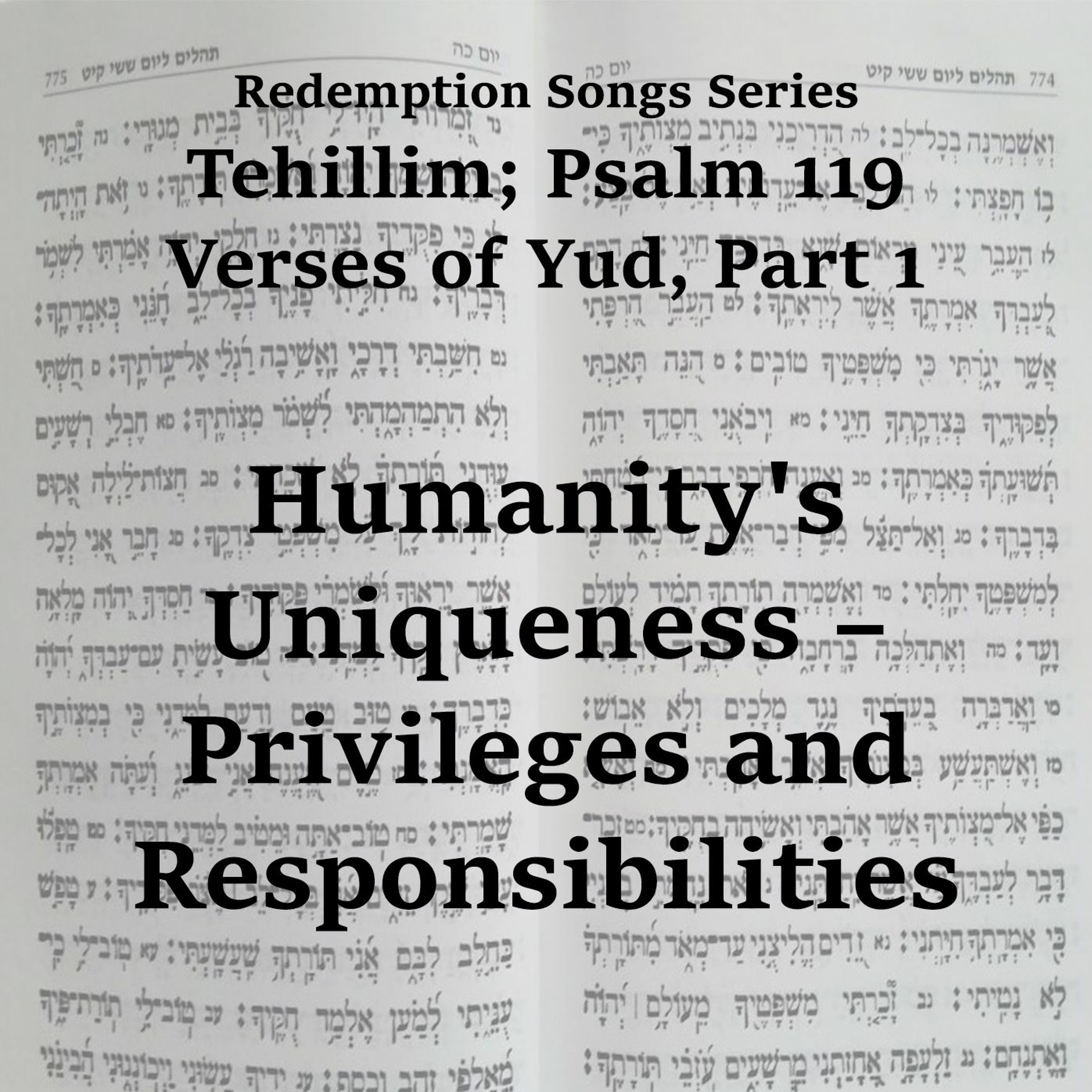 Humanity's Uniqueness – Privileges and Responsibilities