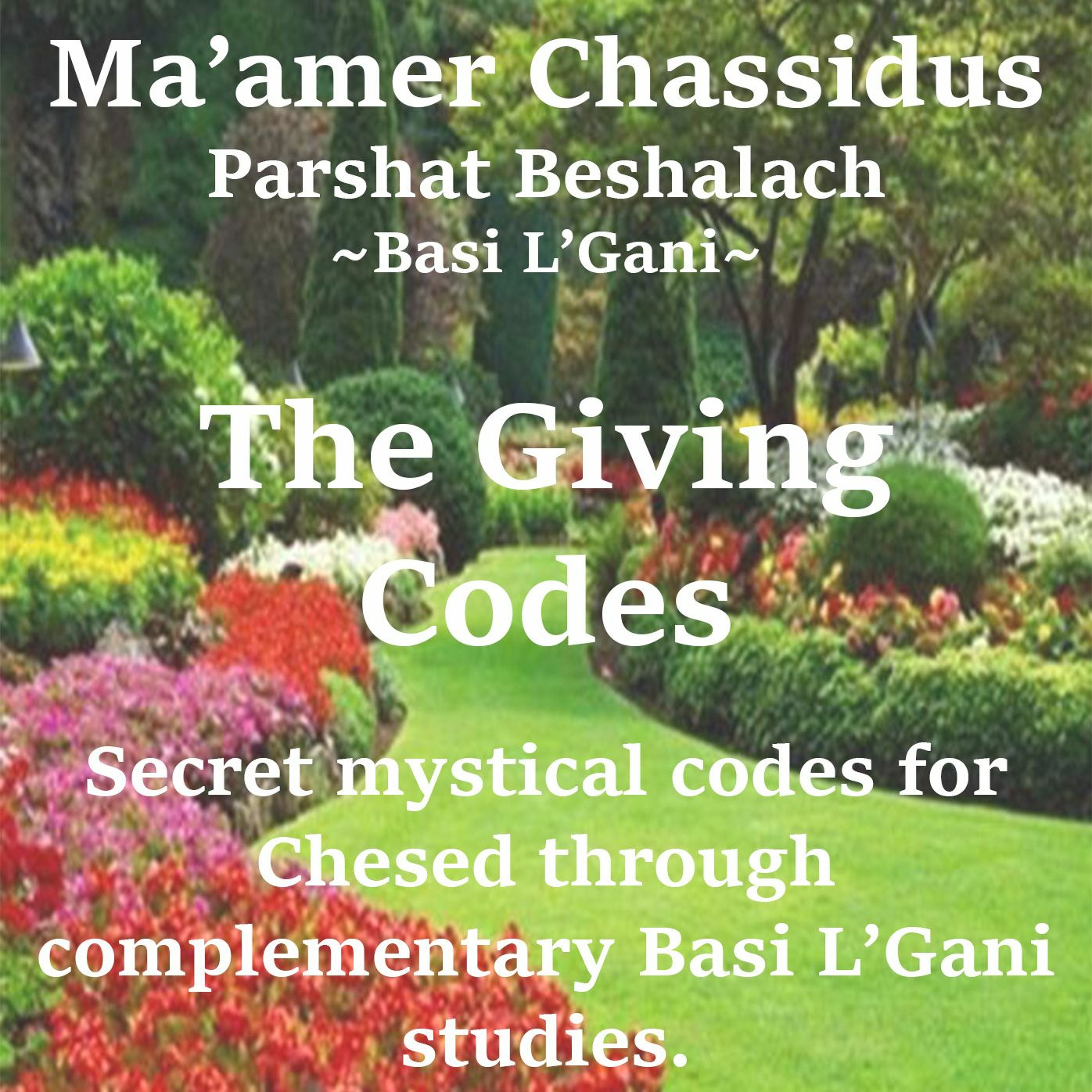 The Giving Codes