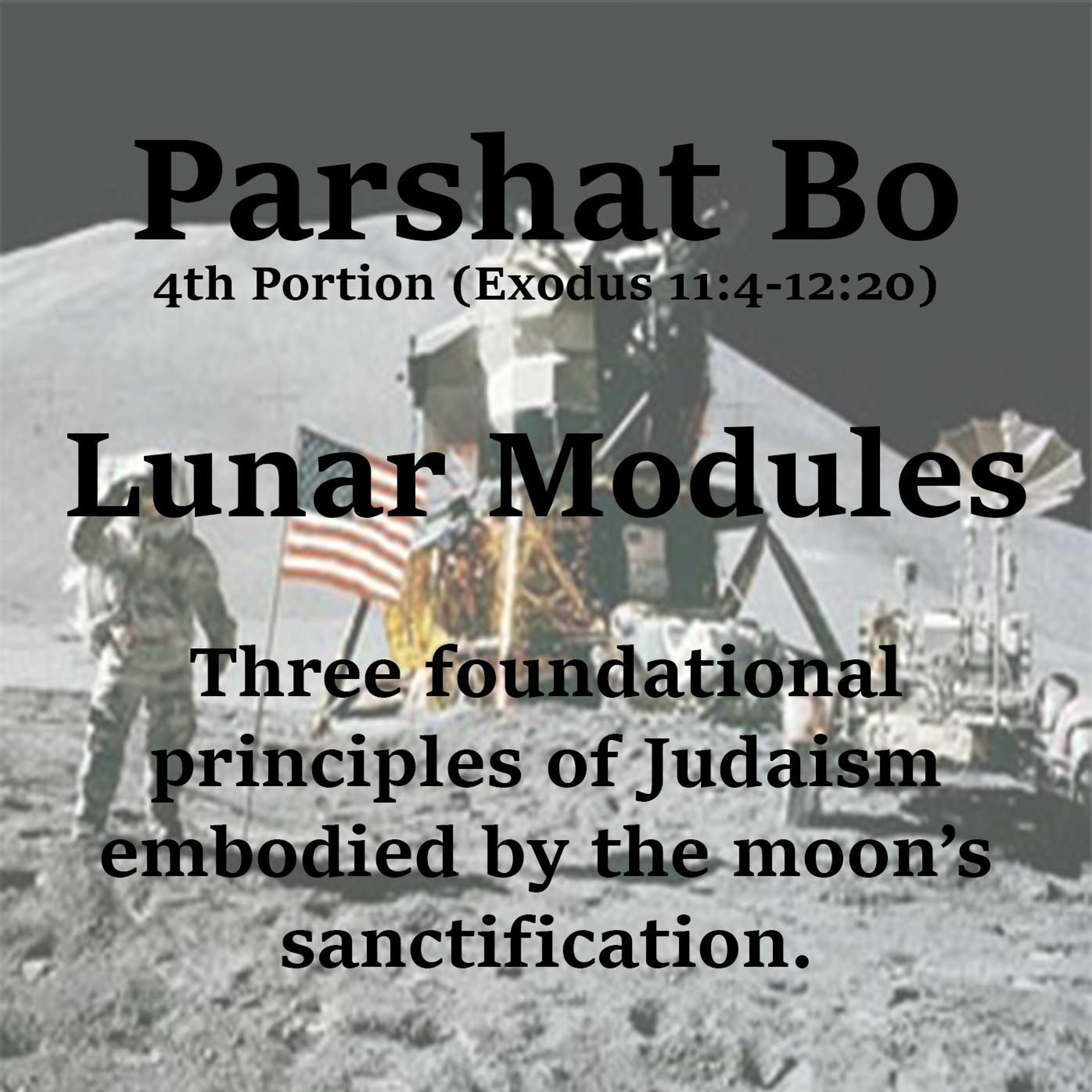 Lunar Modules