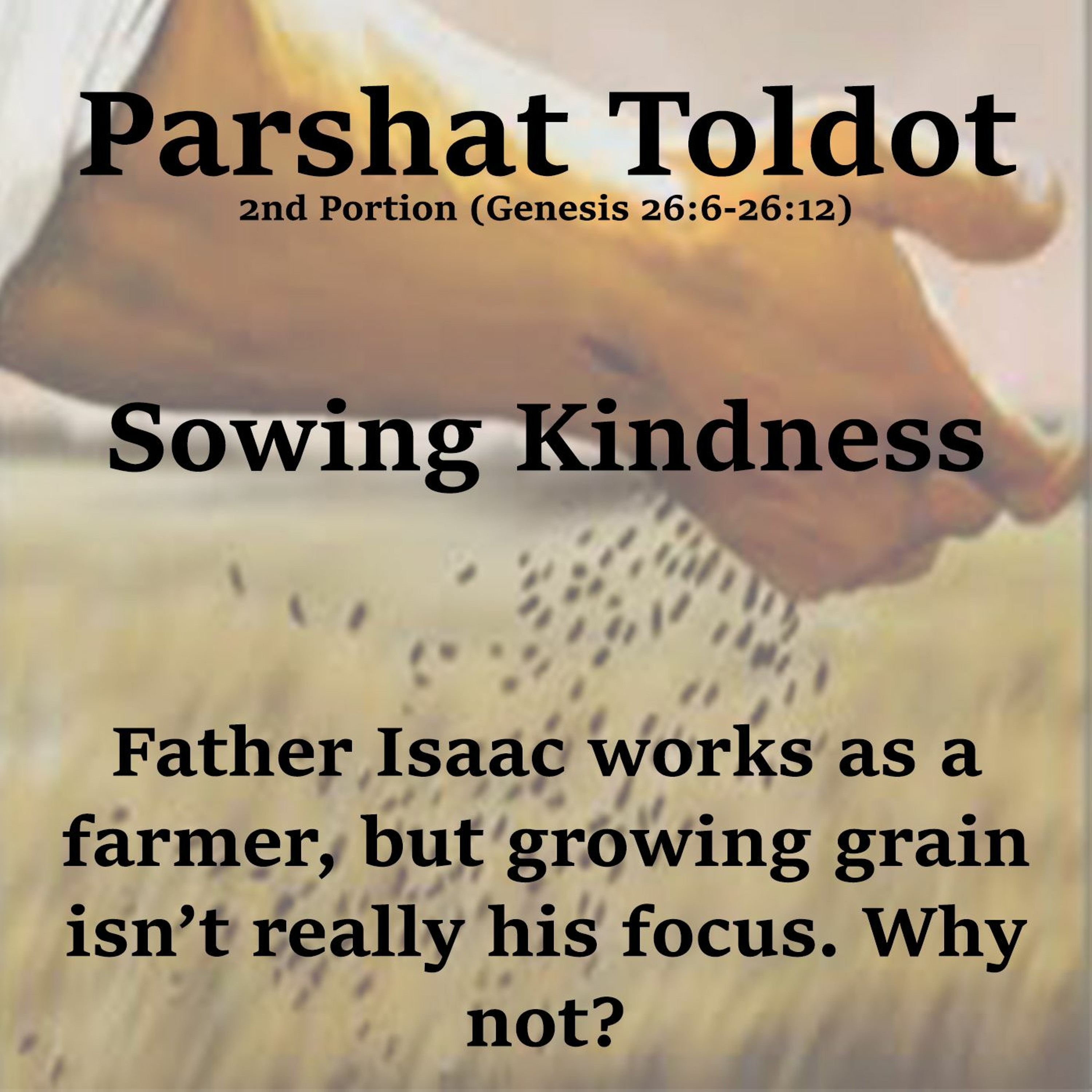 Sowing Kindness