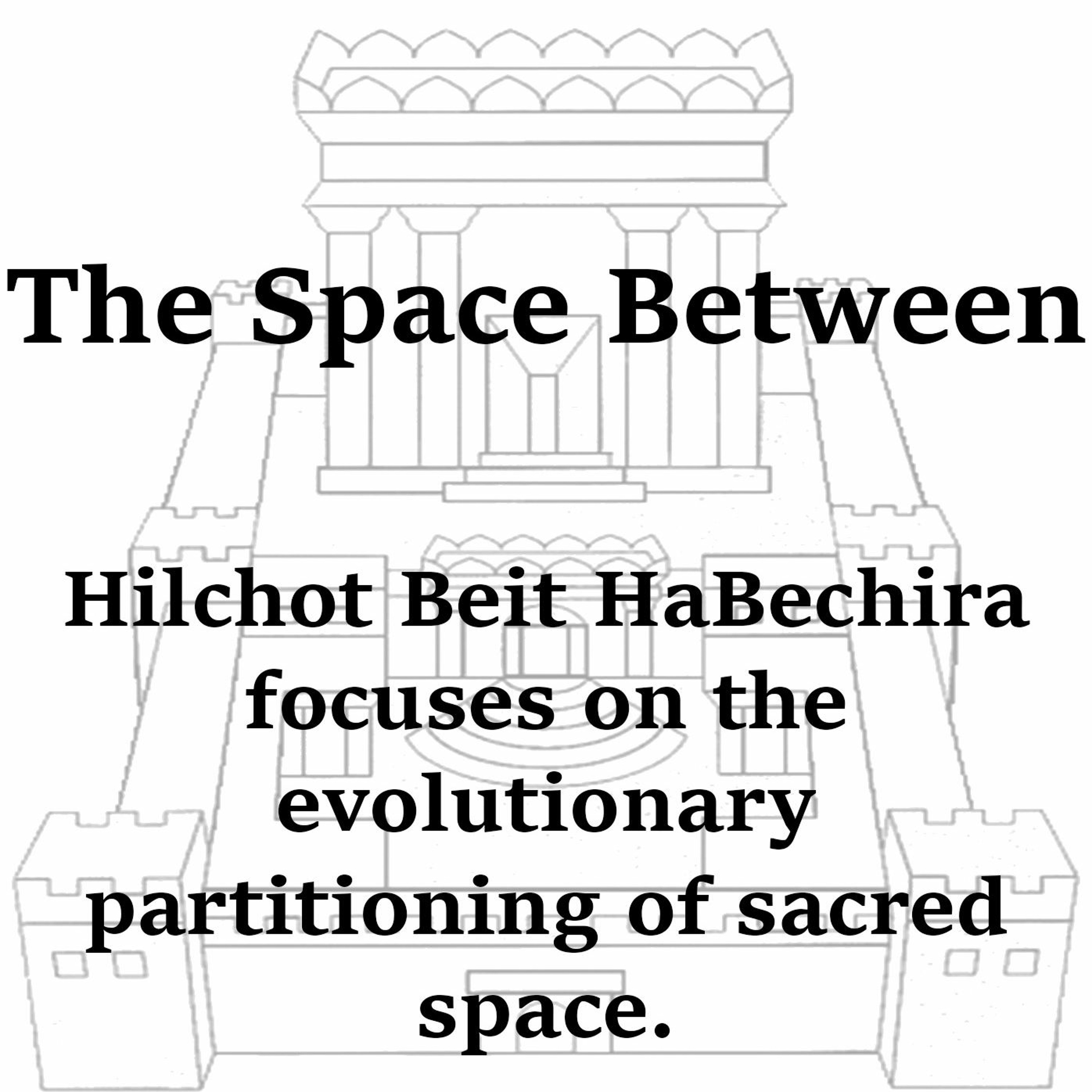 The Space Between