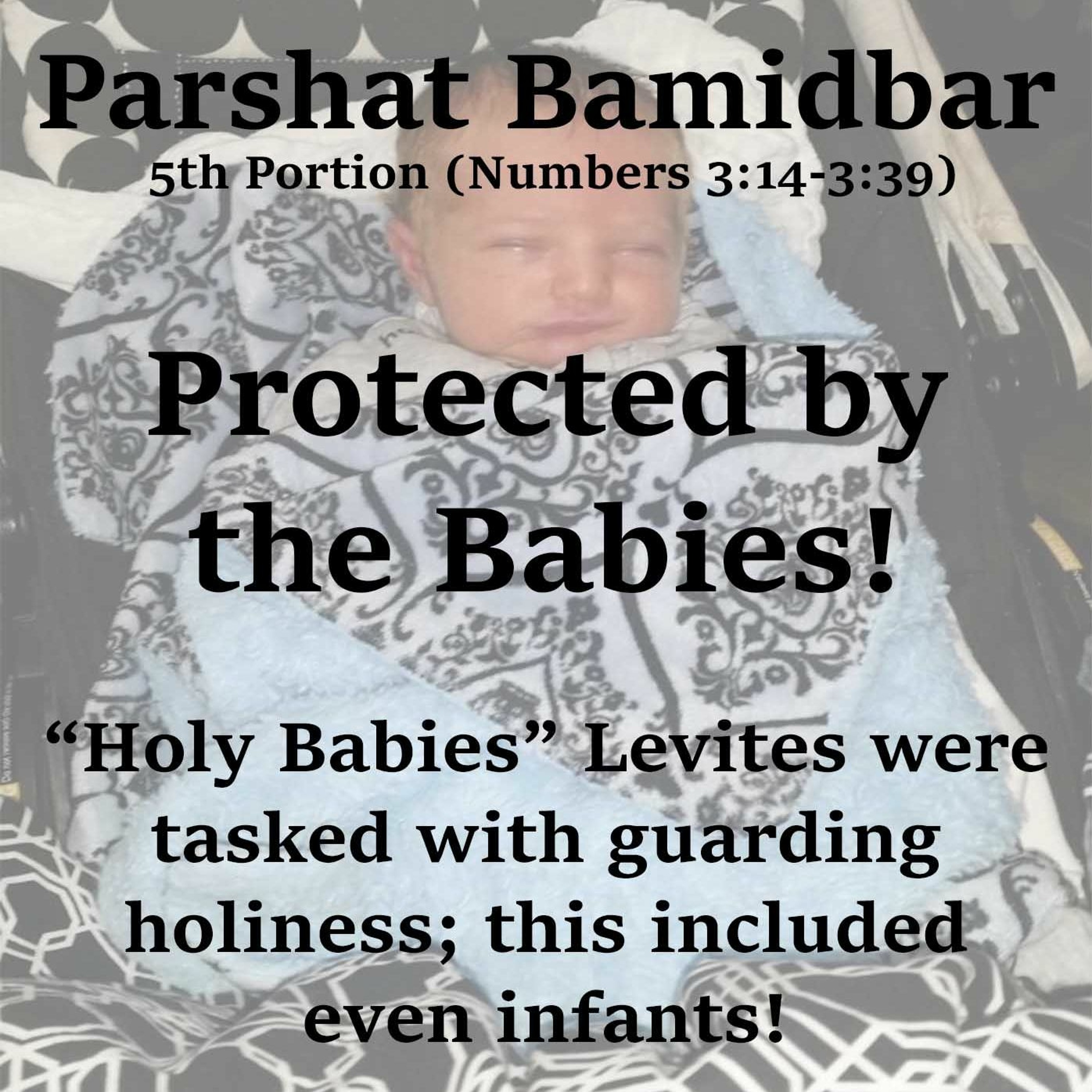 Protected by the Babies!