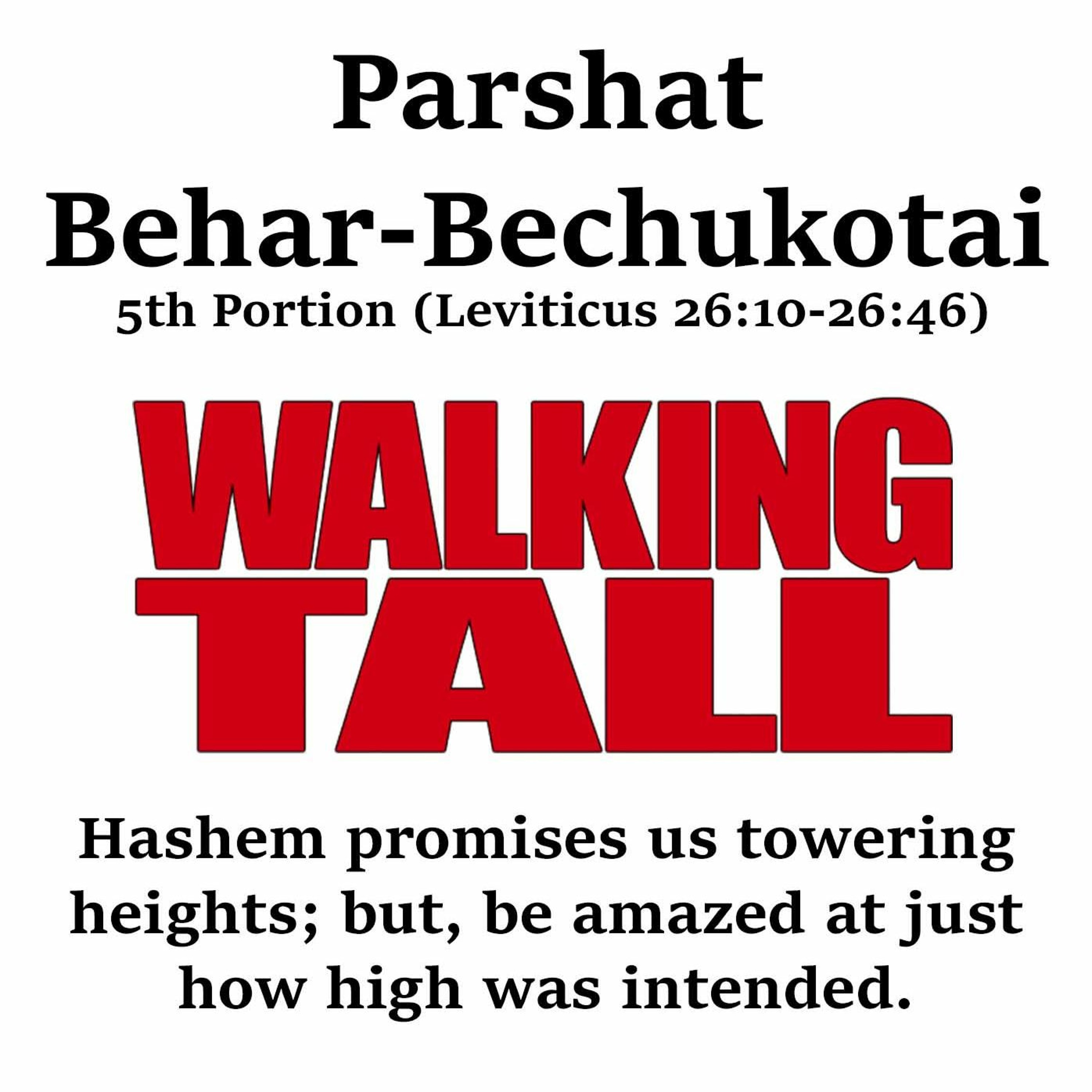 Walking Tall!