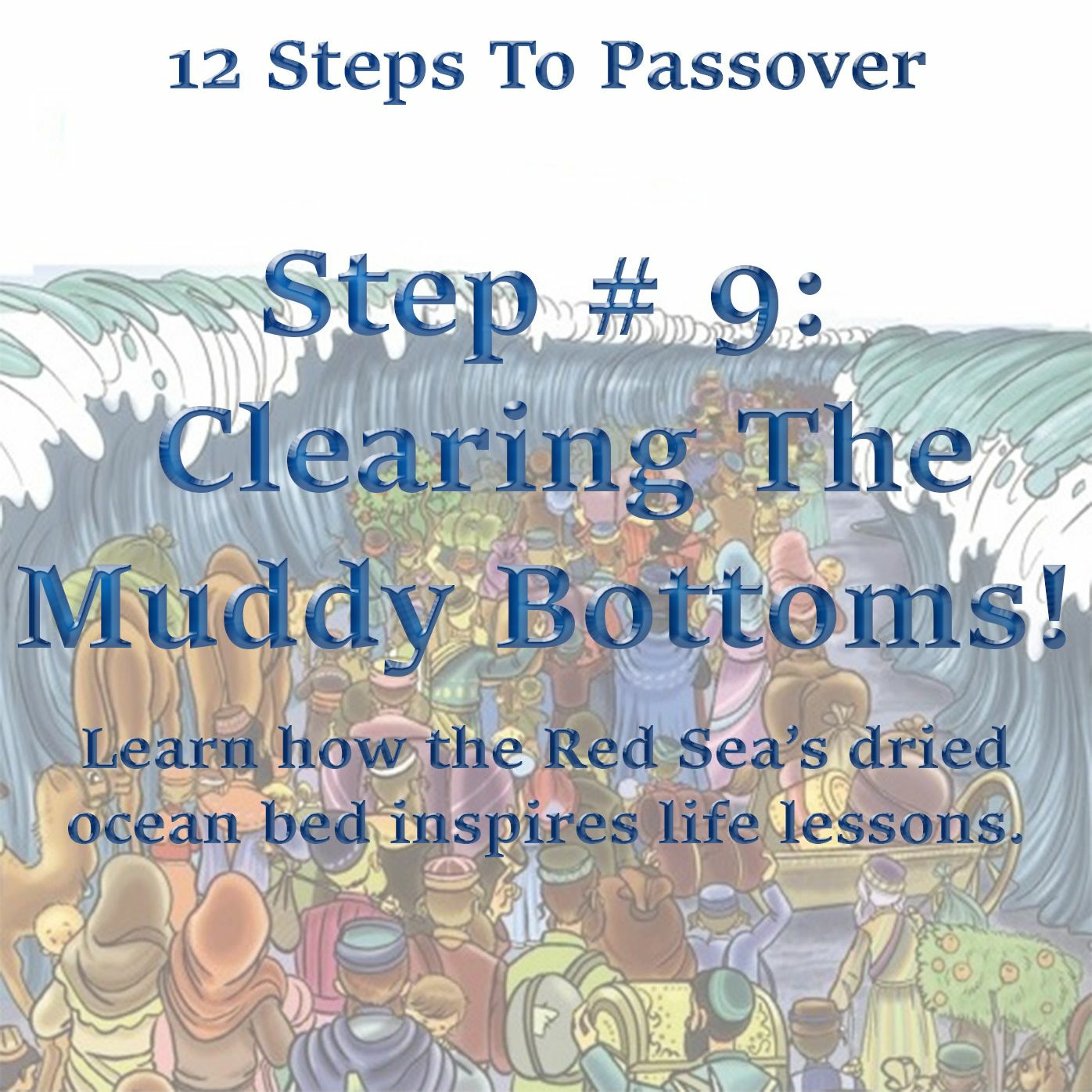 Passover Step # 9 Clearing The Muddy Bottoms!