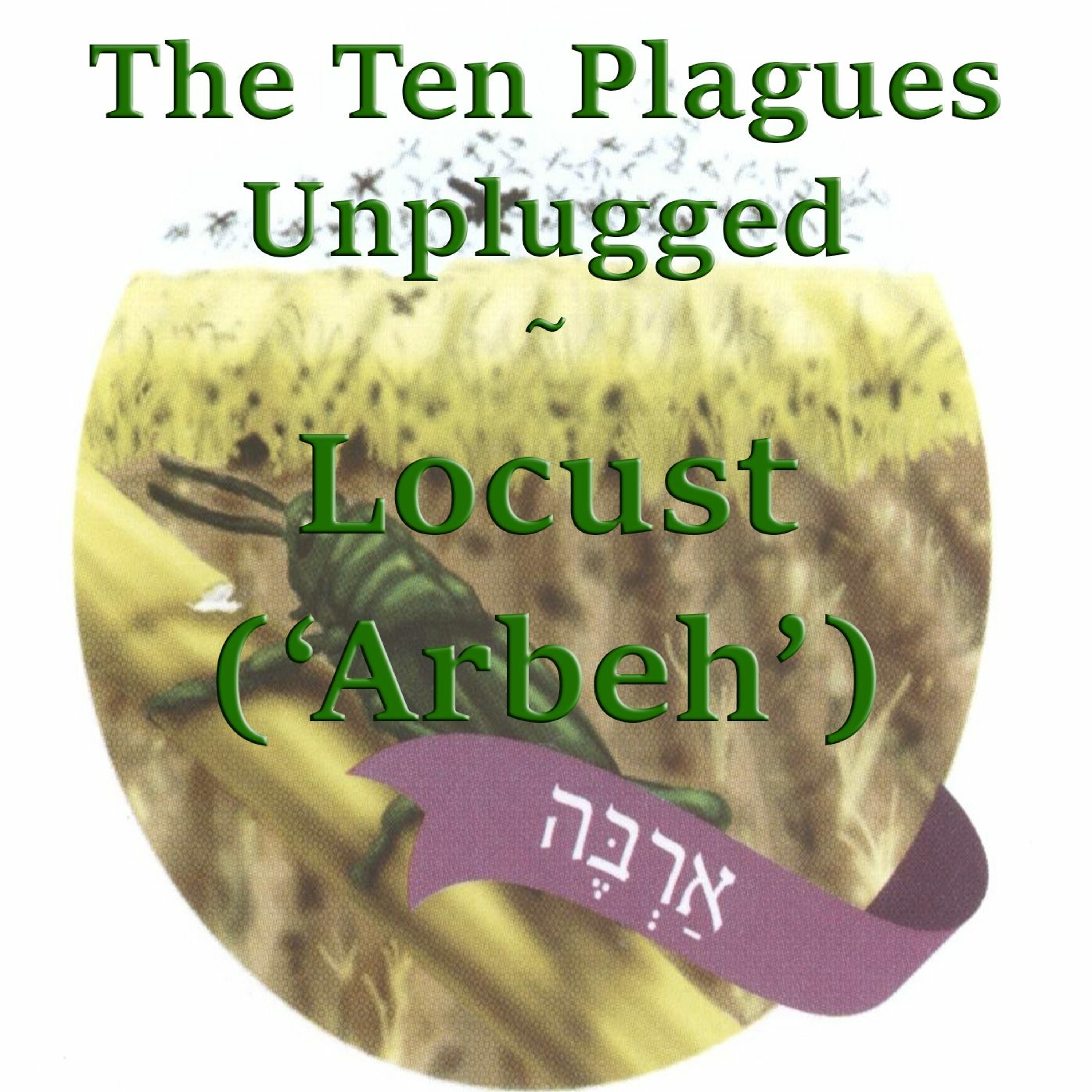 Locust Invasion