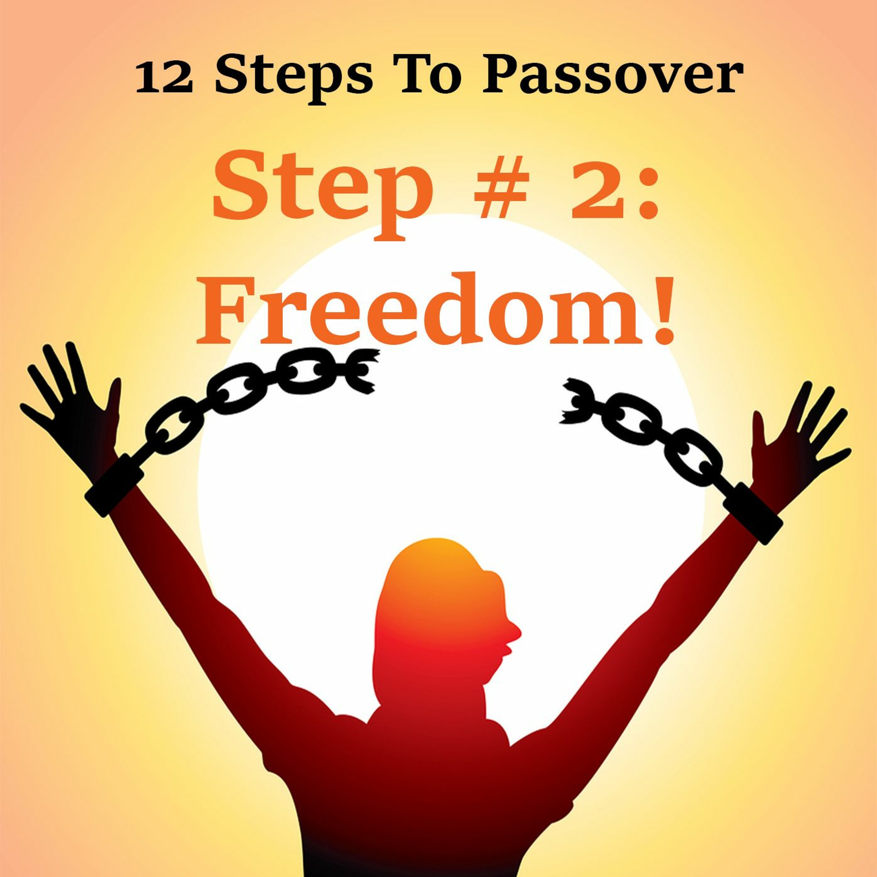 Passover Step # 2: Freedom!