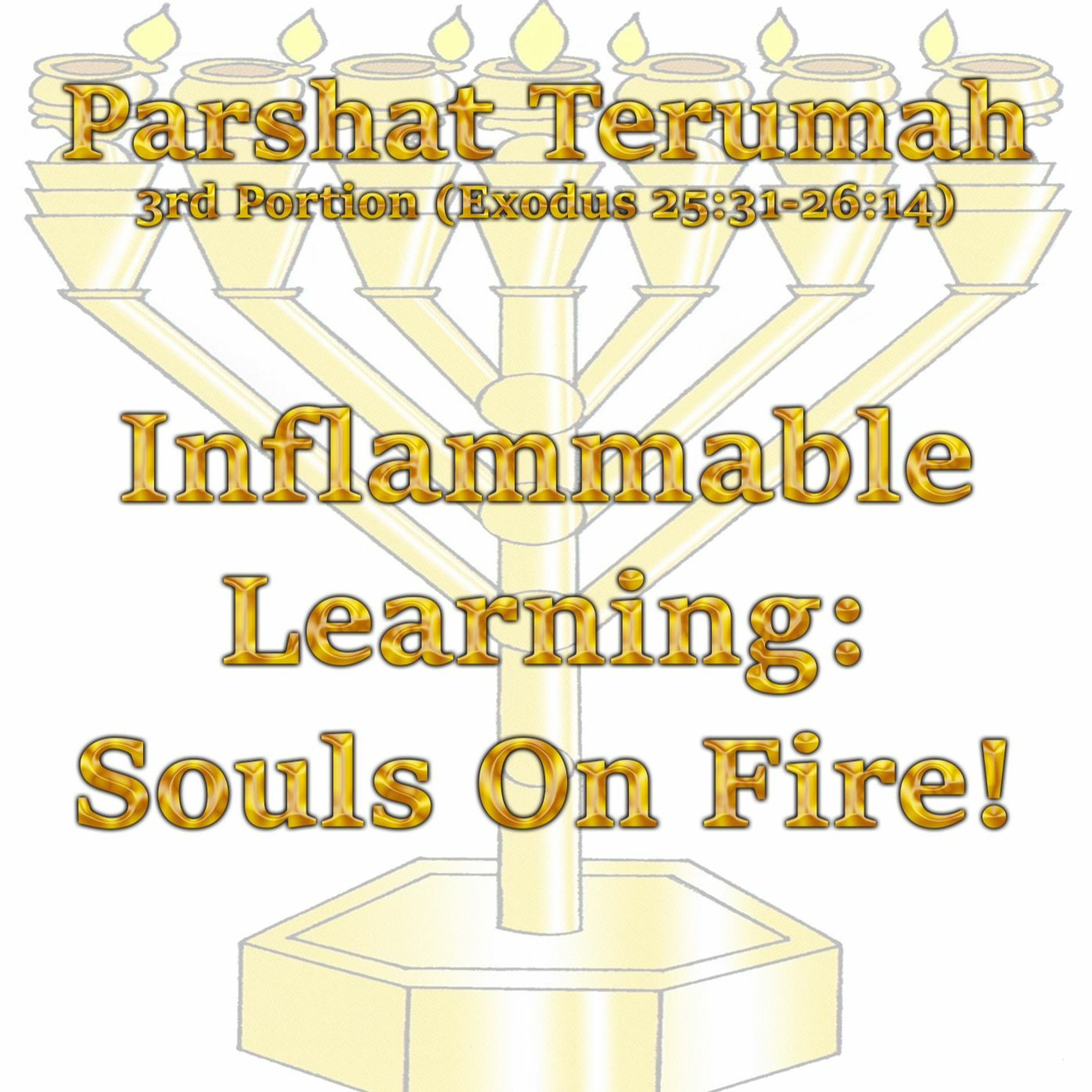 Inflammable Learning: Souls On Fire!