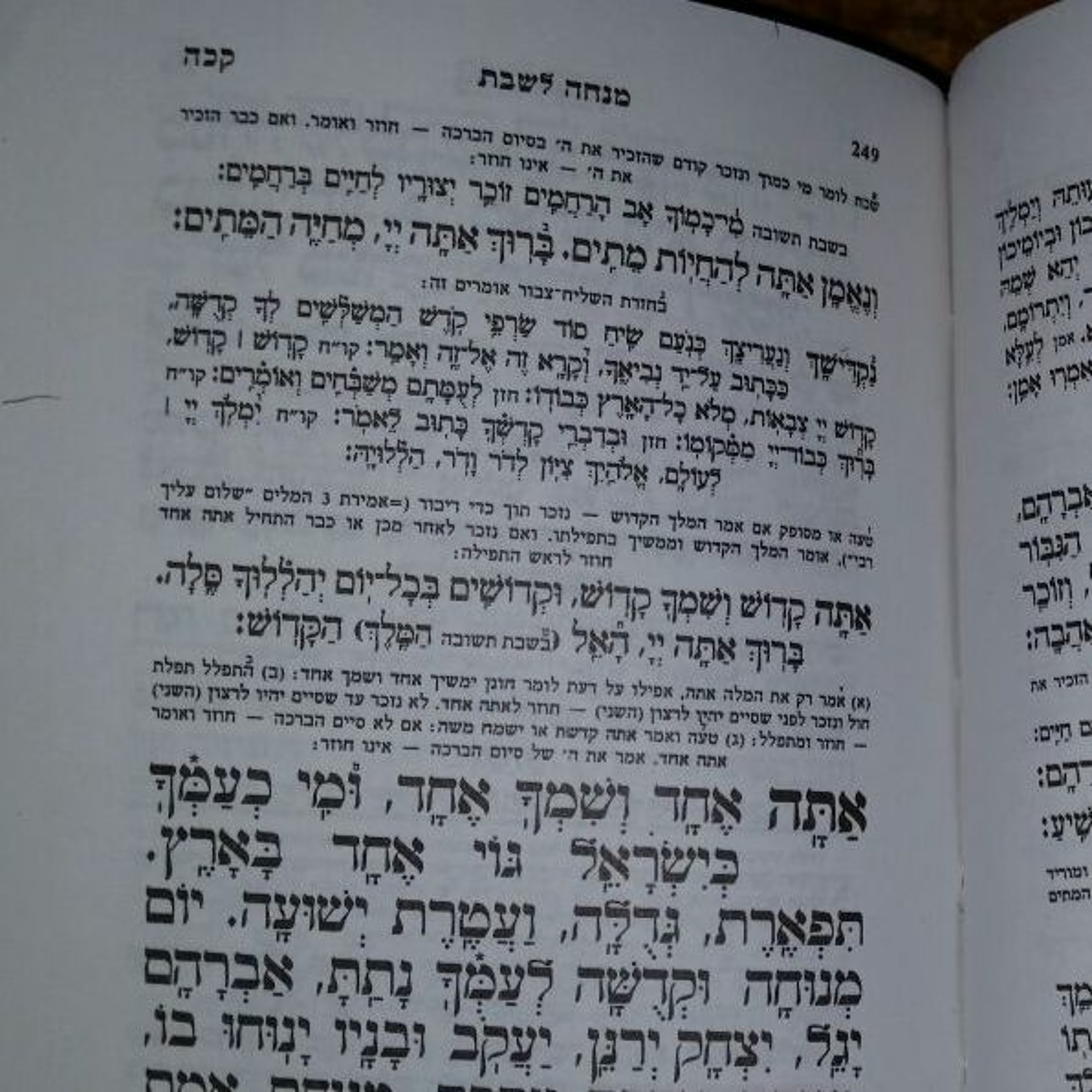 Deep Ma'amer; Sublime Oneness And Rungs of Holiness...