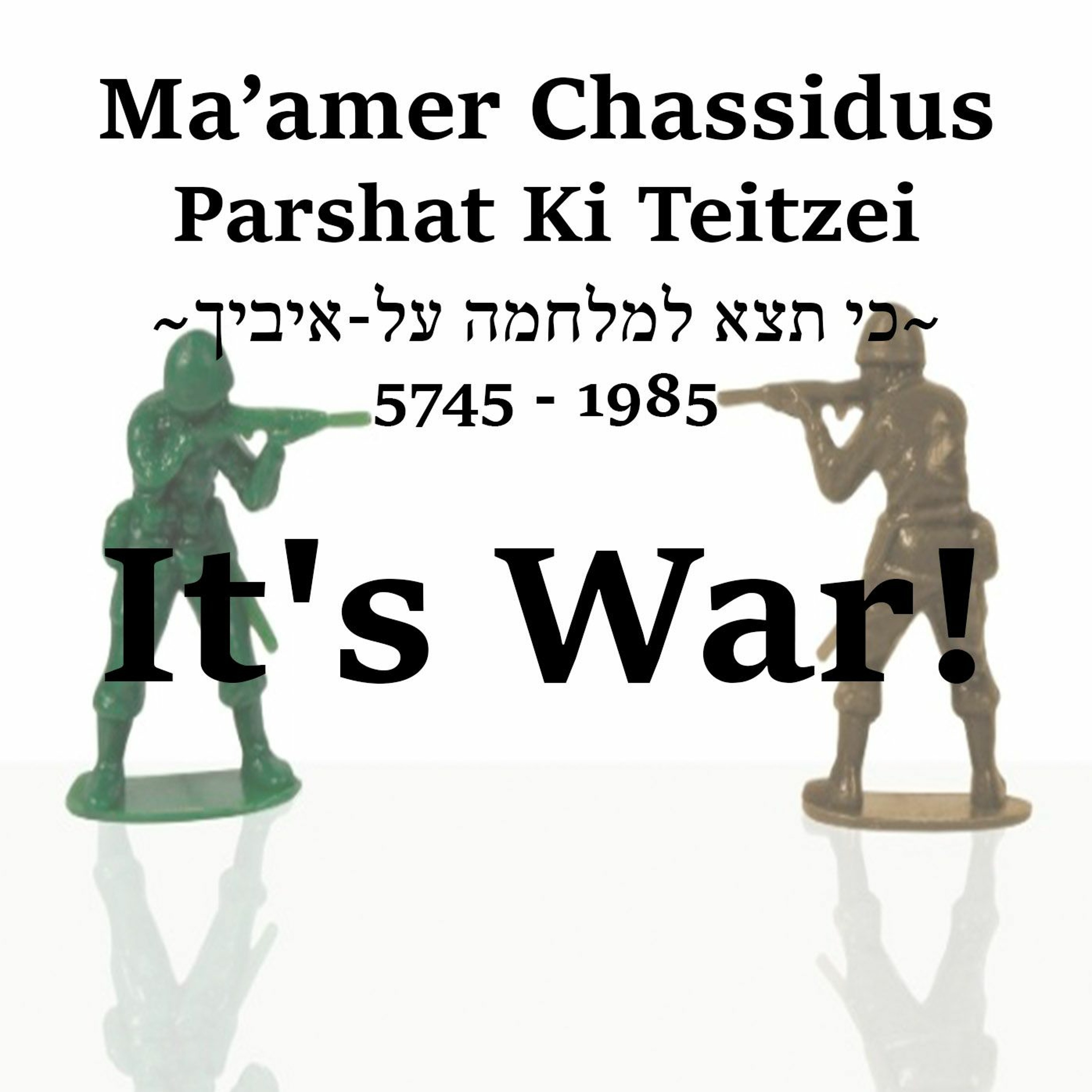 It's War! Ma'amer on Parshat Ki Taitzia...