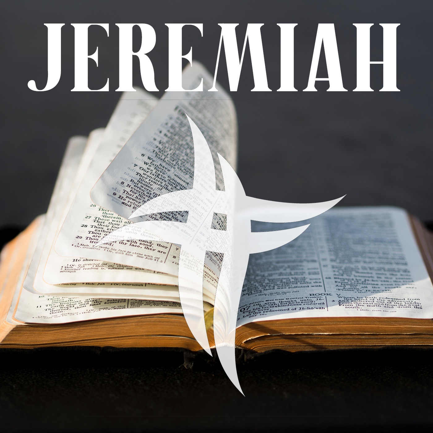 Living Stones Church, Red Deer - Jeremiah Series podcast artwork