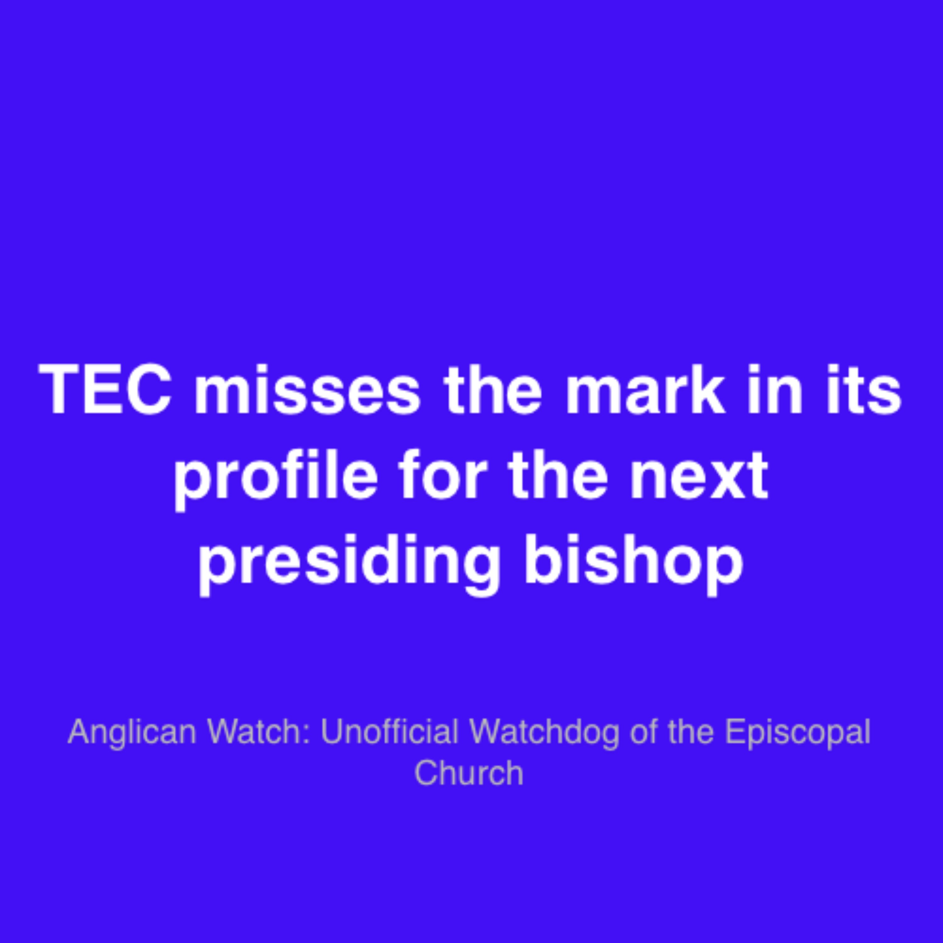 TEC misses the mark in its profile for the next presiding bishop