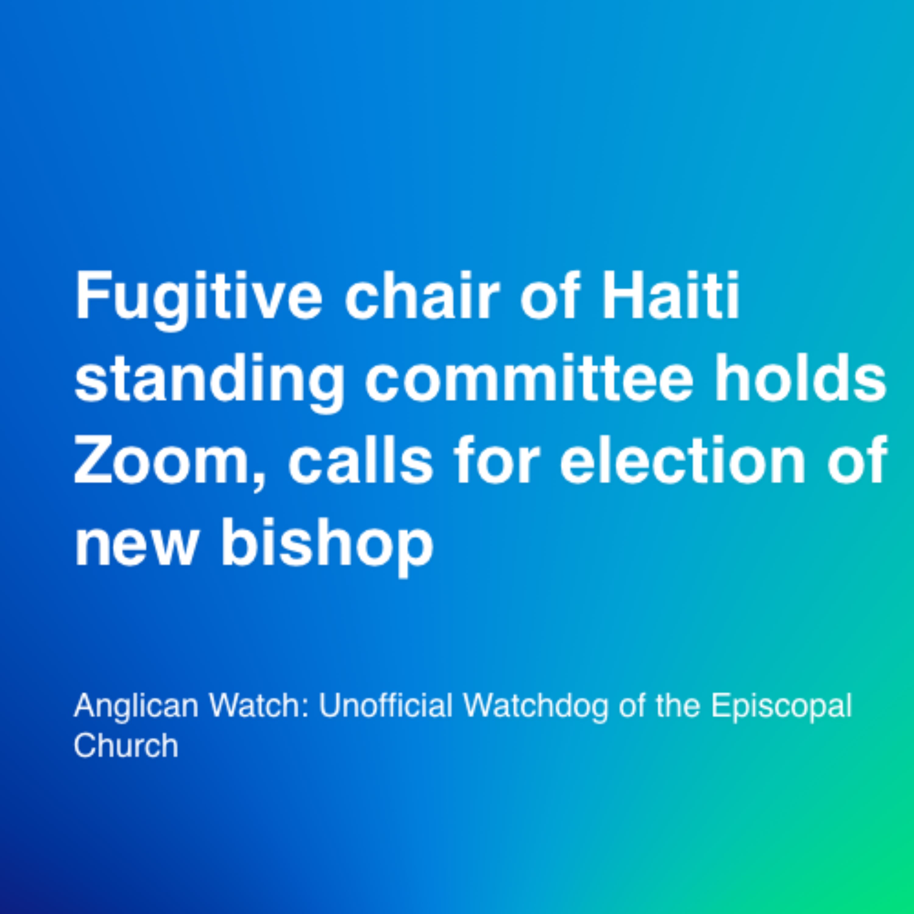 Fugitive chair of Haiti standing committee holds Zoom, calls for election of new bishop
