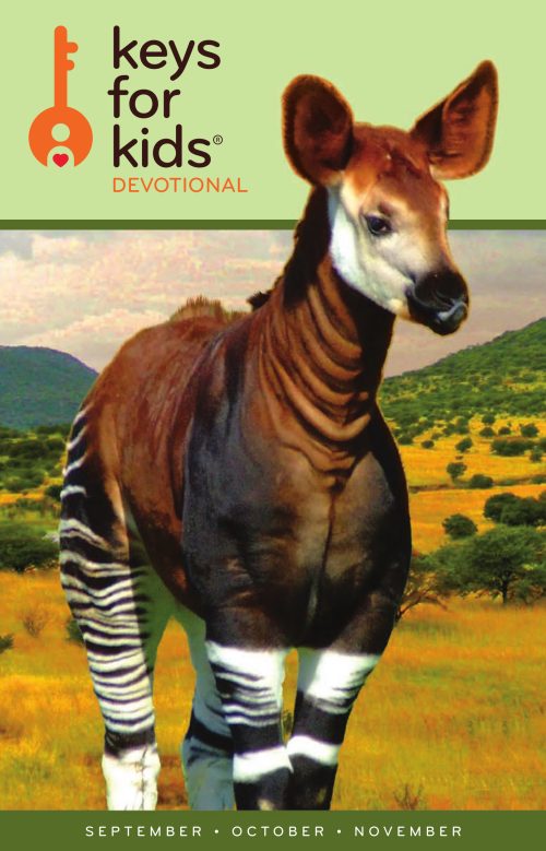Episode Cover