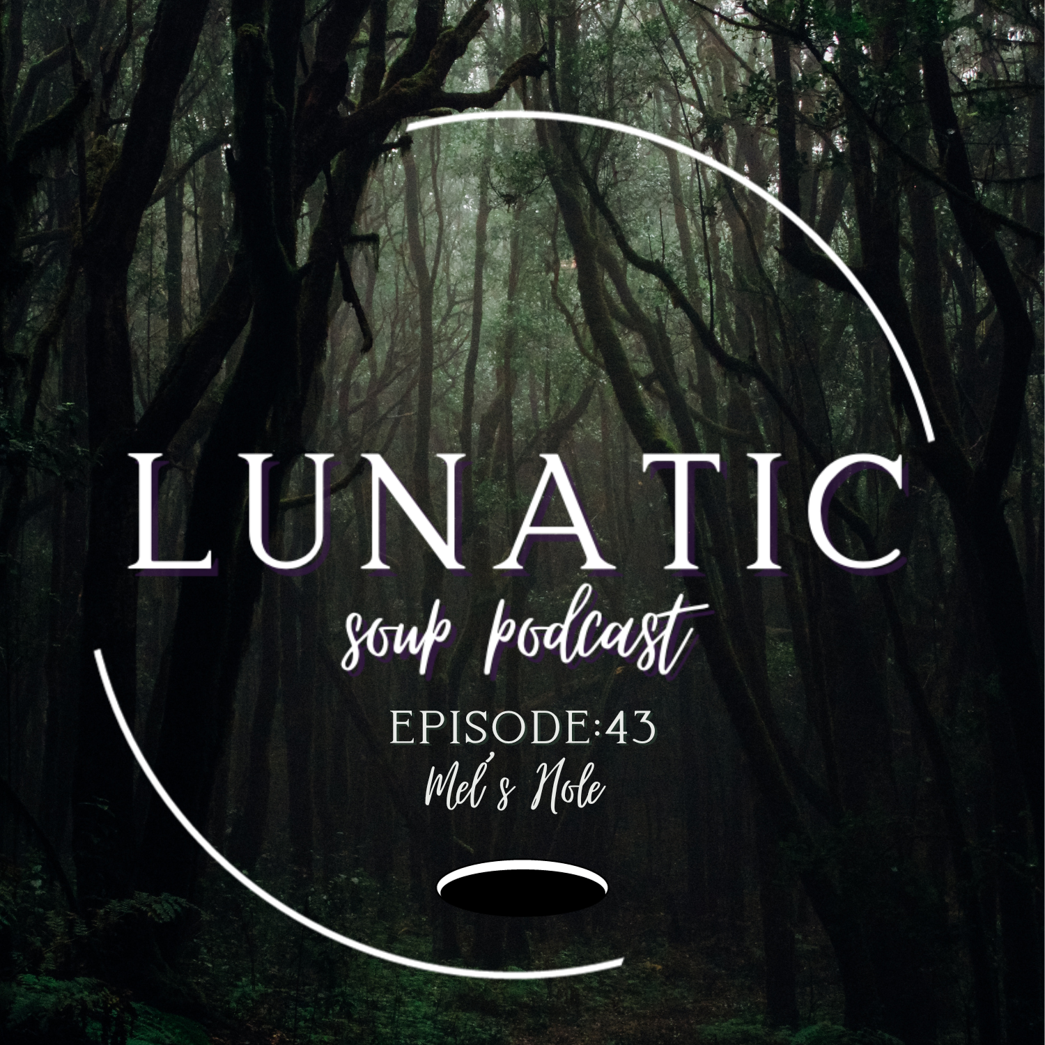 Lunatic Soup