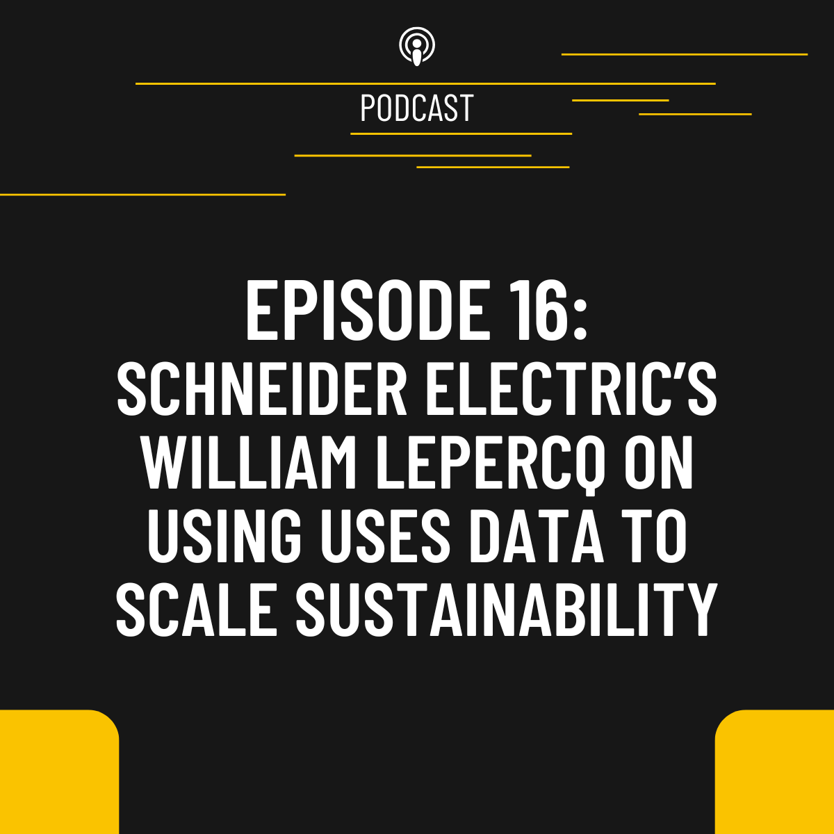 Episode 16: How William Lepercq at Schneider Electric Uses Data to Scale Sustainability