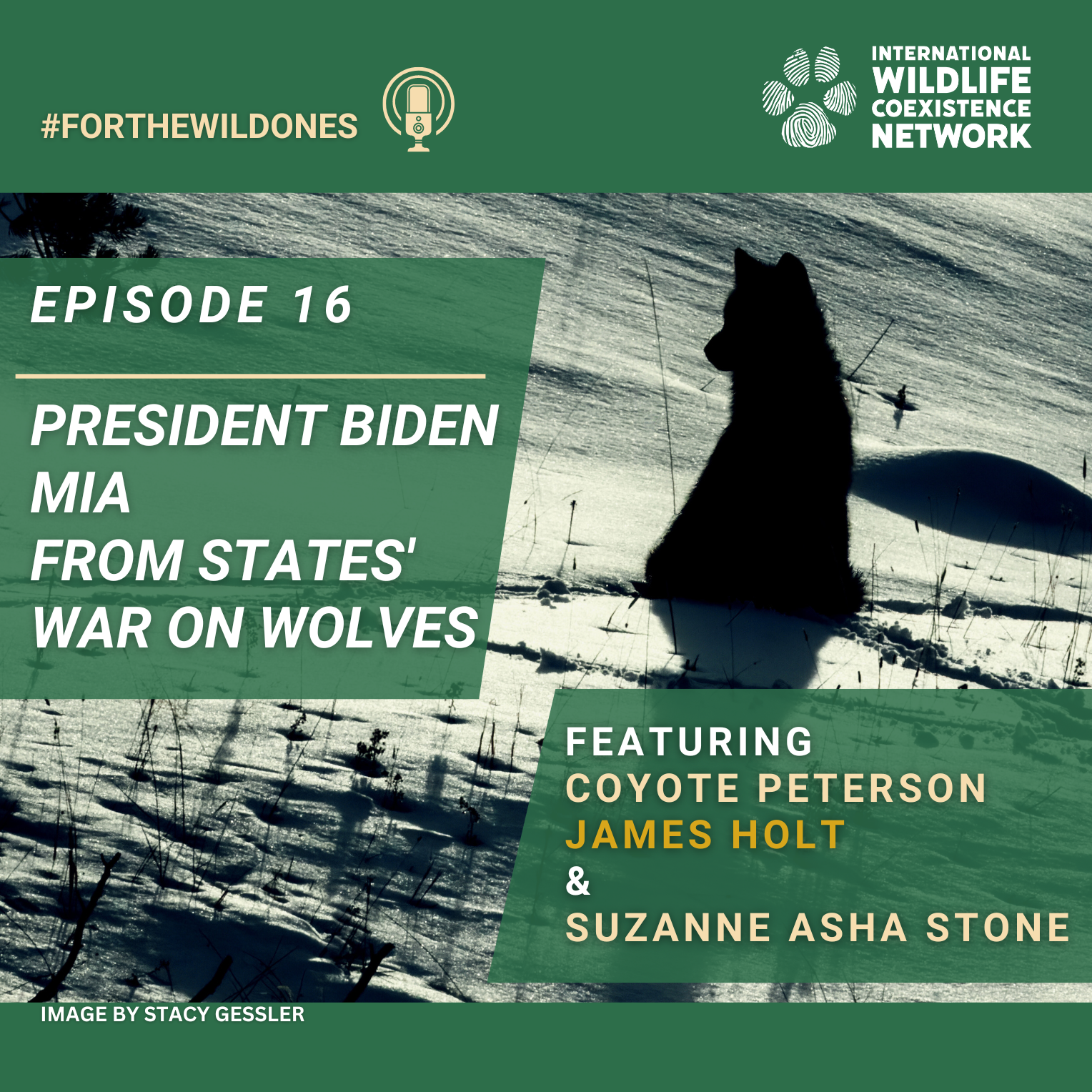 President Biden MIA from States' War on Wolves