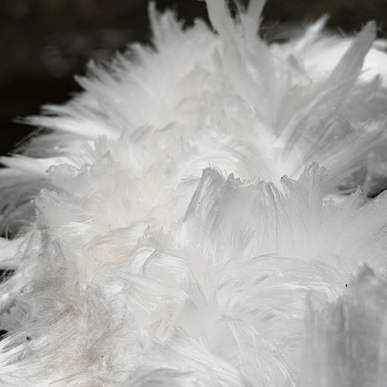 Crip Silences, Crip Futurities, Crip Joy