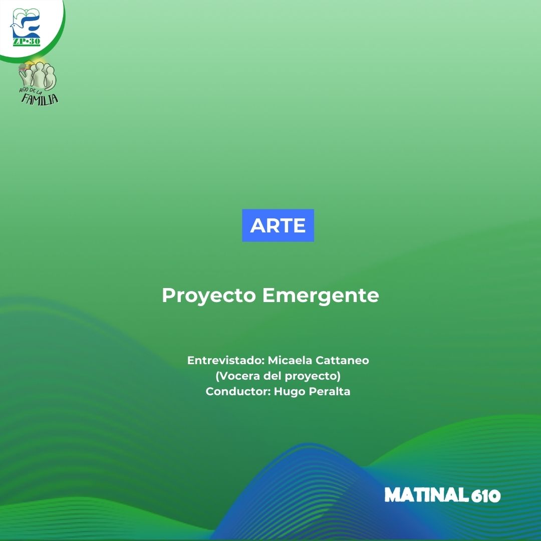 Proyecto Emergente