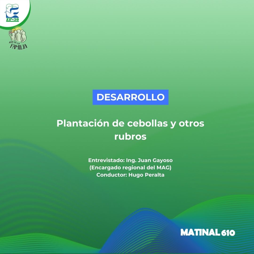 Plantación de cebollas y otros rubros