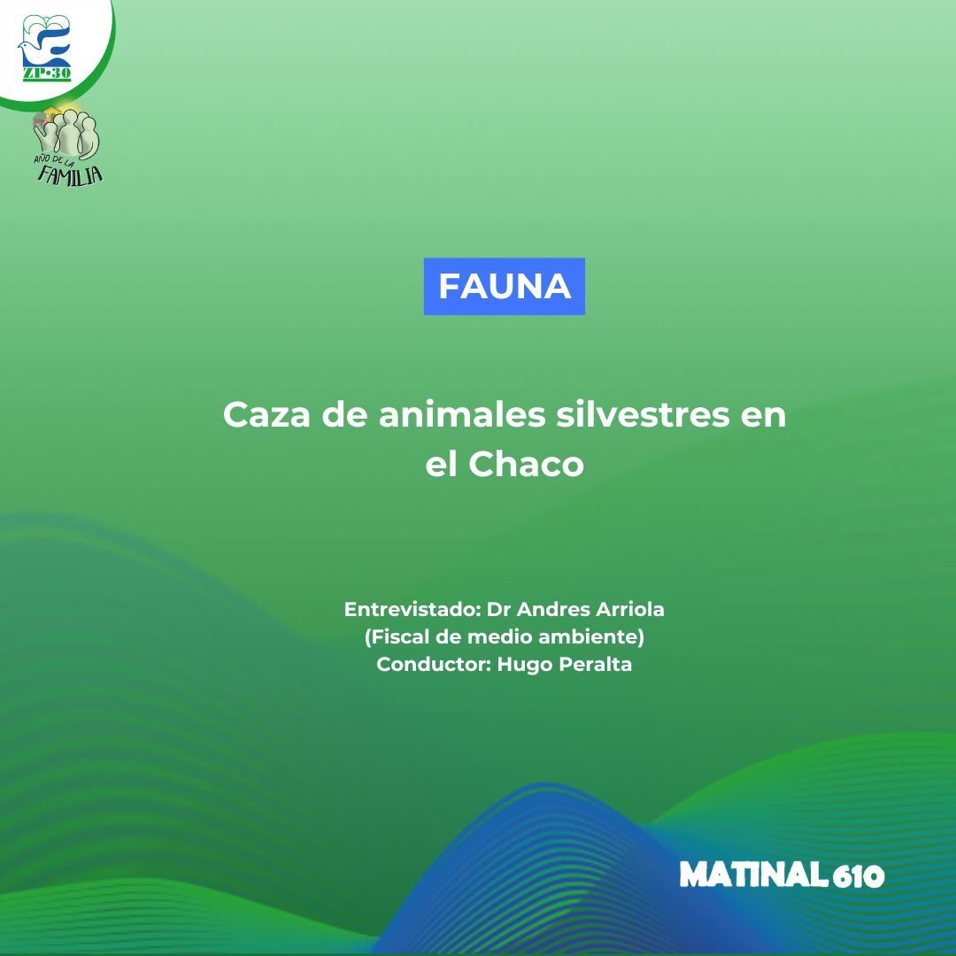 Caza de animales silvestres en el Chaco