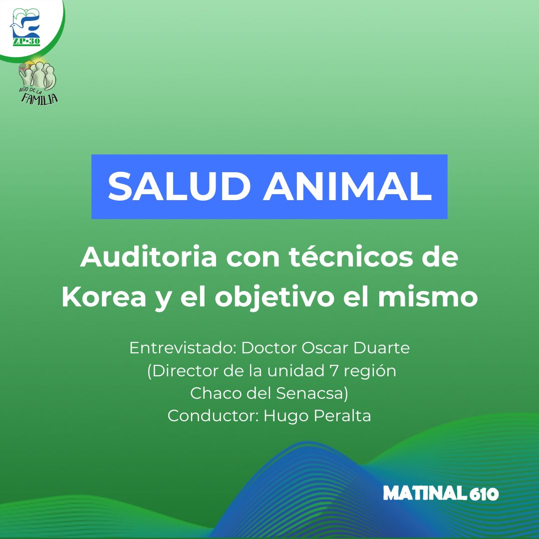 Auditoria con técnicos de Korea y el objetivo el mismo