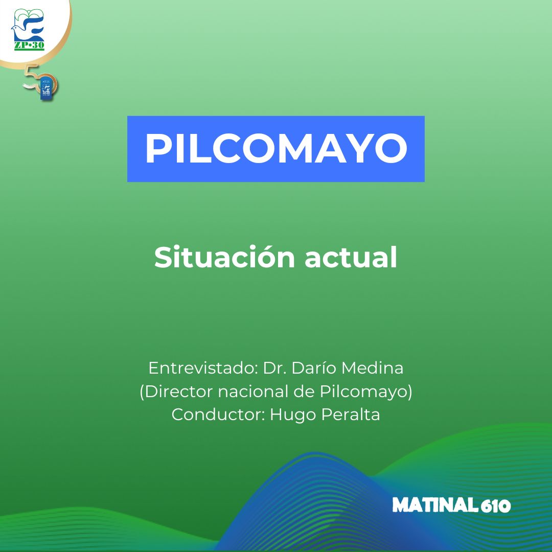 Situación actual del Pilcomayo