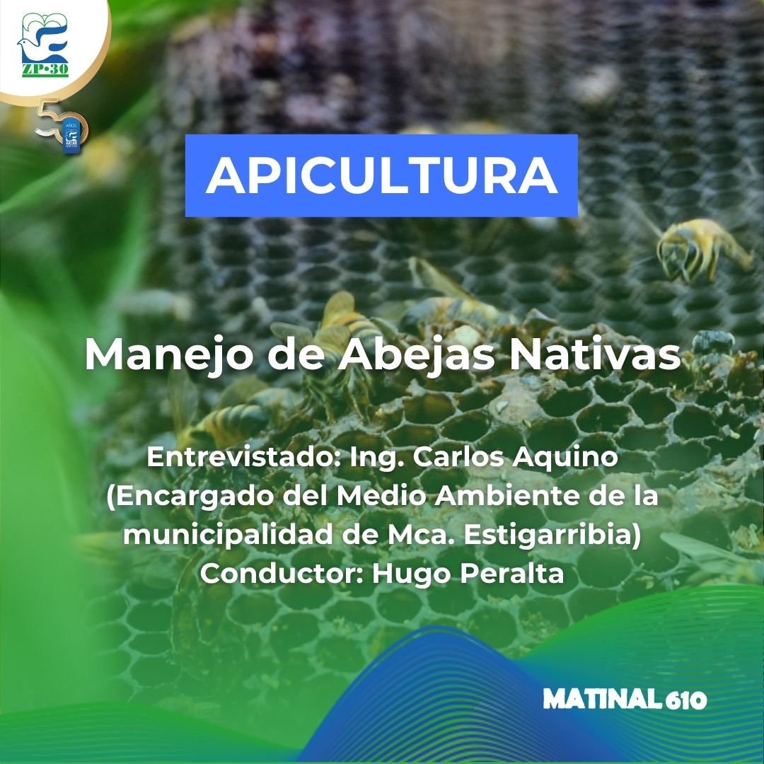 Manejo de Abejas Nativas