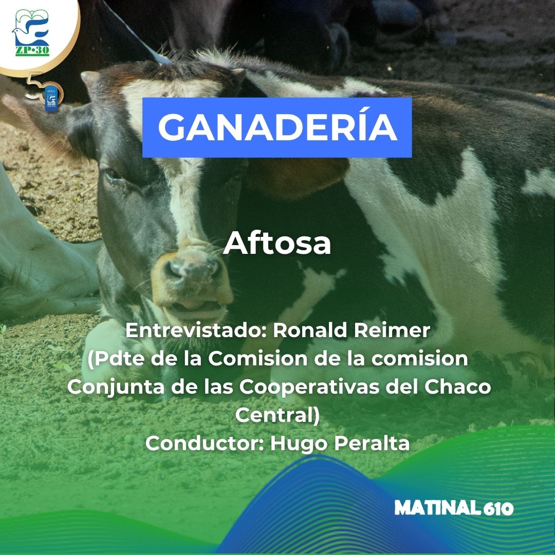 
                    Aftosa
                