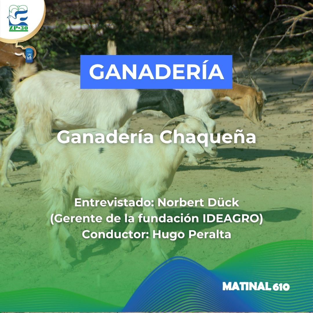 
                    Ganadería Chaqueña
                