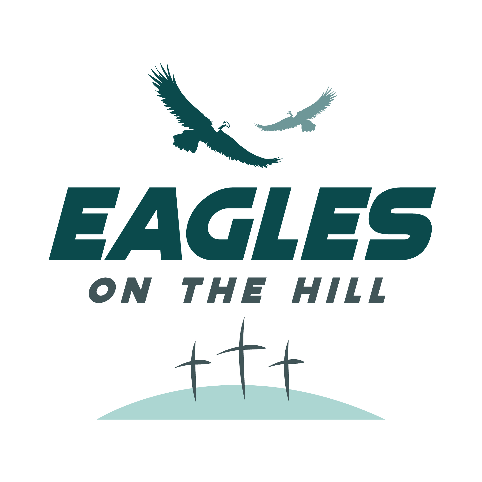 Eagles on the Hill - Introduction