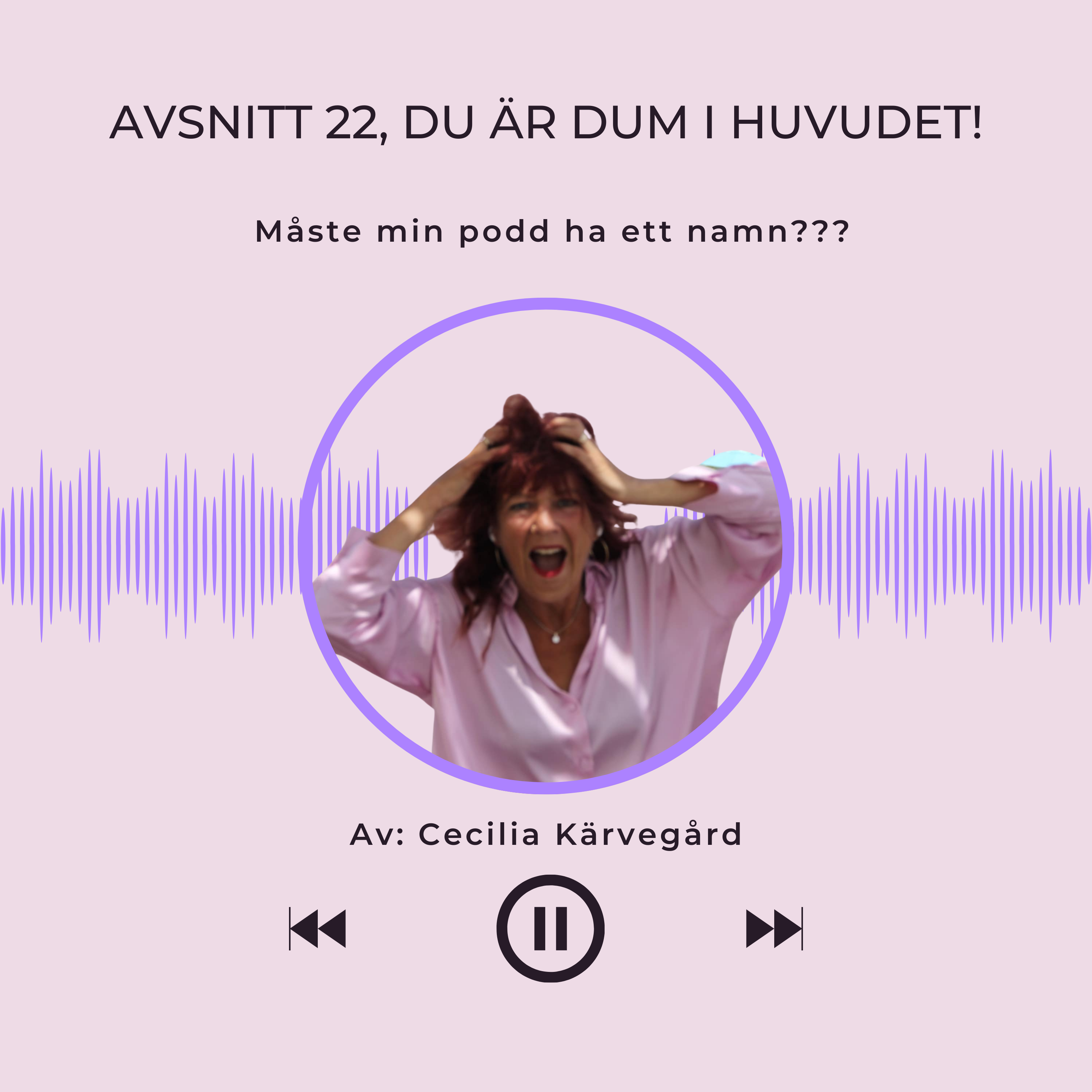 Avsnitt 22, Du är ju dum i huvudet!