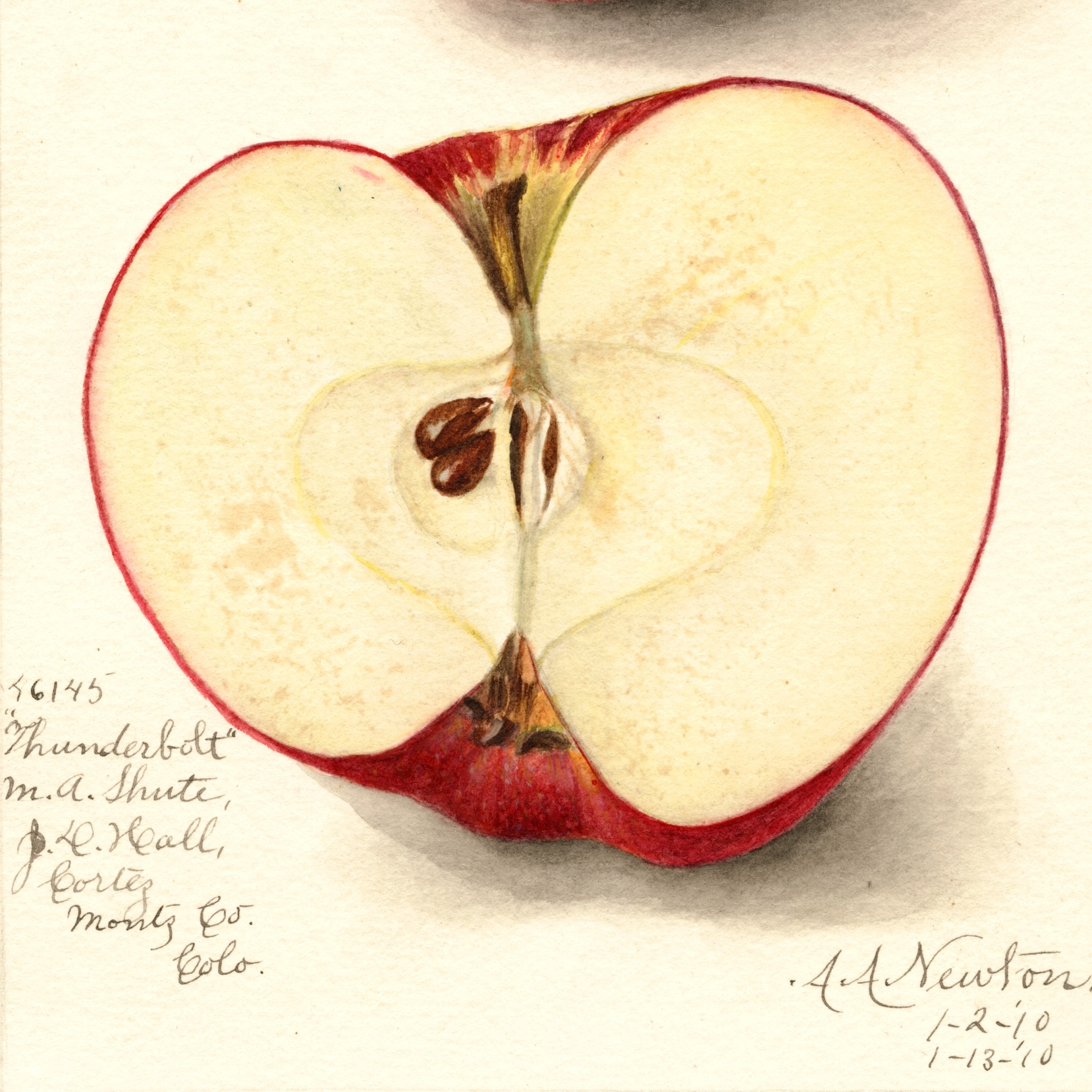 In Search of the Thunderbolt in Montezuma County