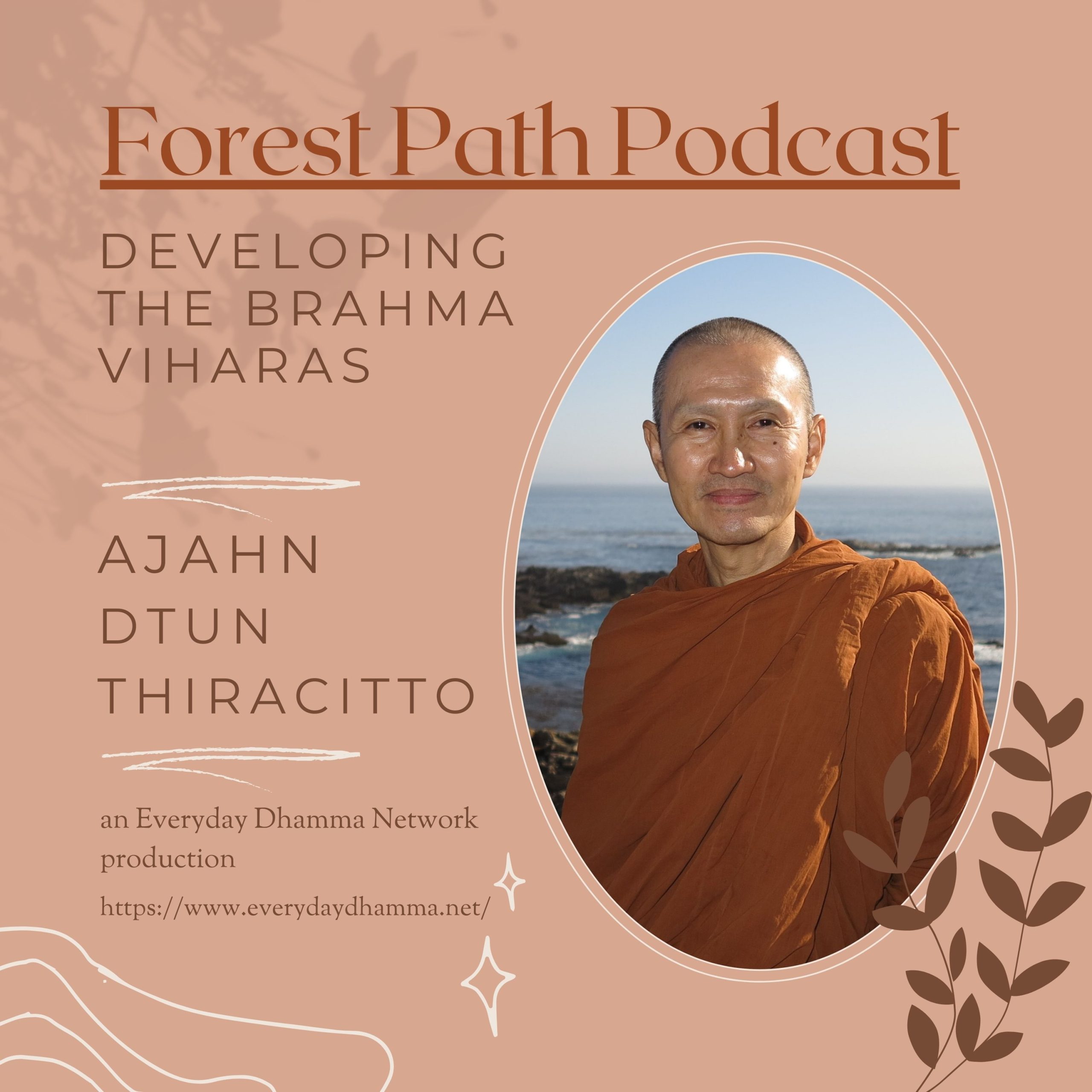 Developing Brahma Viharas | Ajahn Dtun