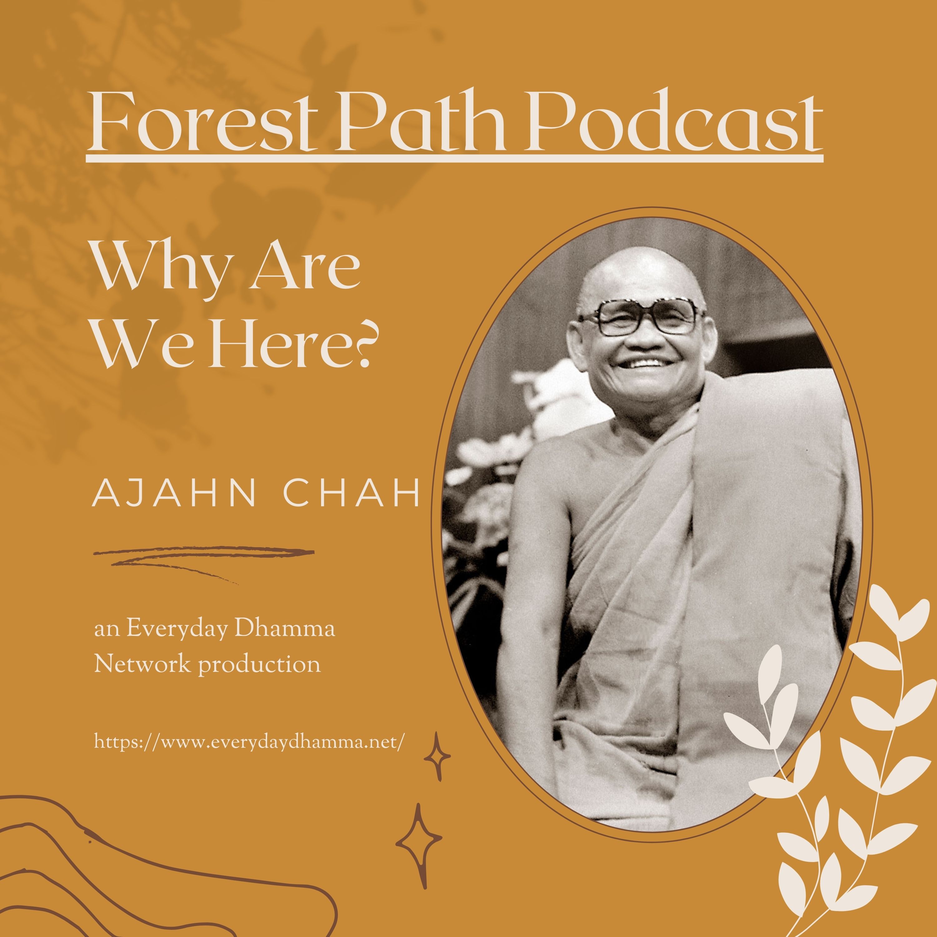 Why Are We Here? | Ajahn Chah
