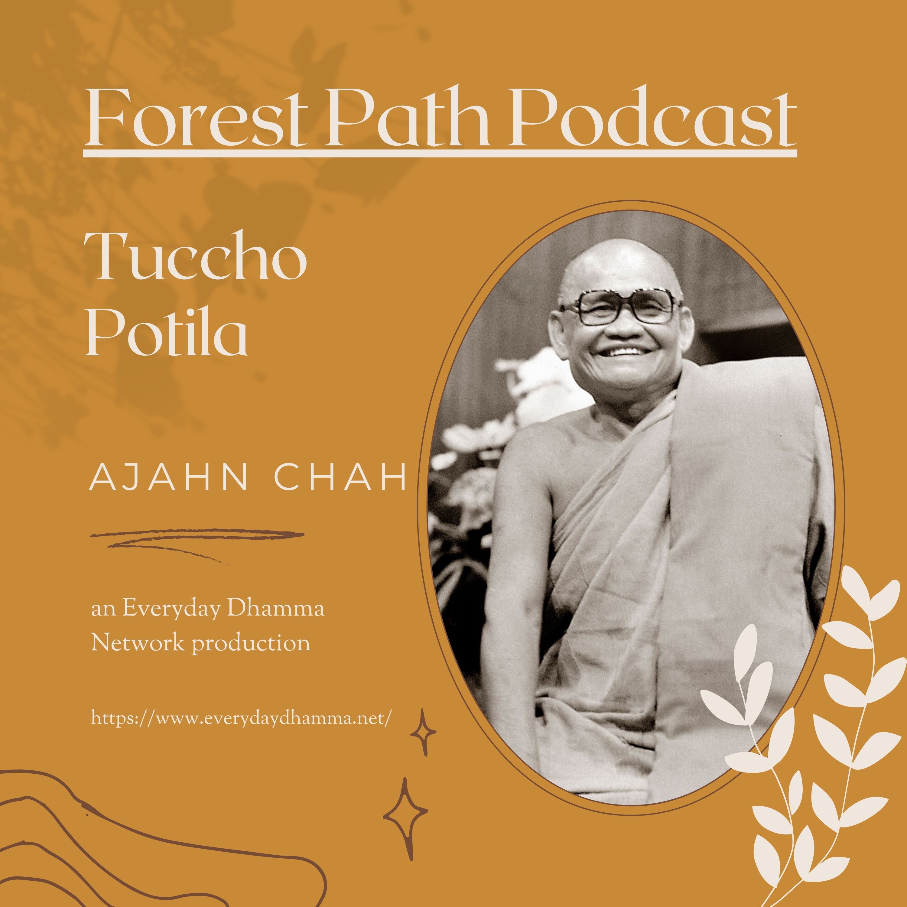 Tuccho Potila "Venerable Empty Scripture" | Ajahn Chah